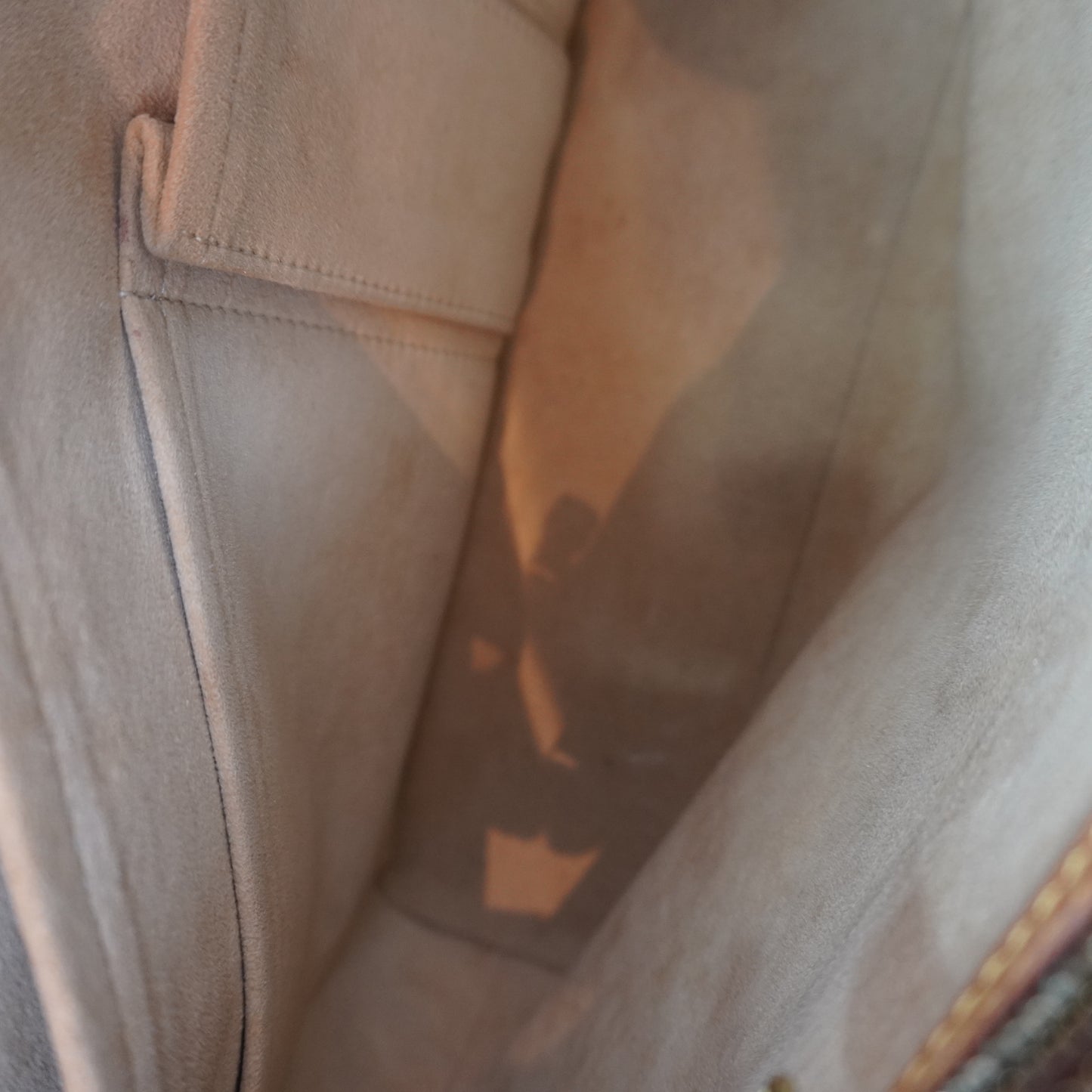 Louis Vuitton Luco Tote Bag
