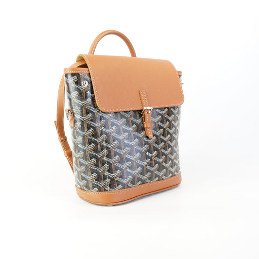 Goyard Alpin 2 Mni Sac
