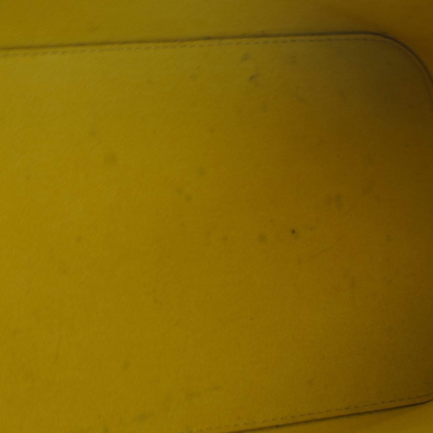 Louis Vuitton Neverfull Epi Yellow