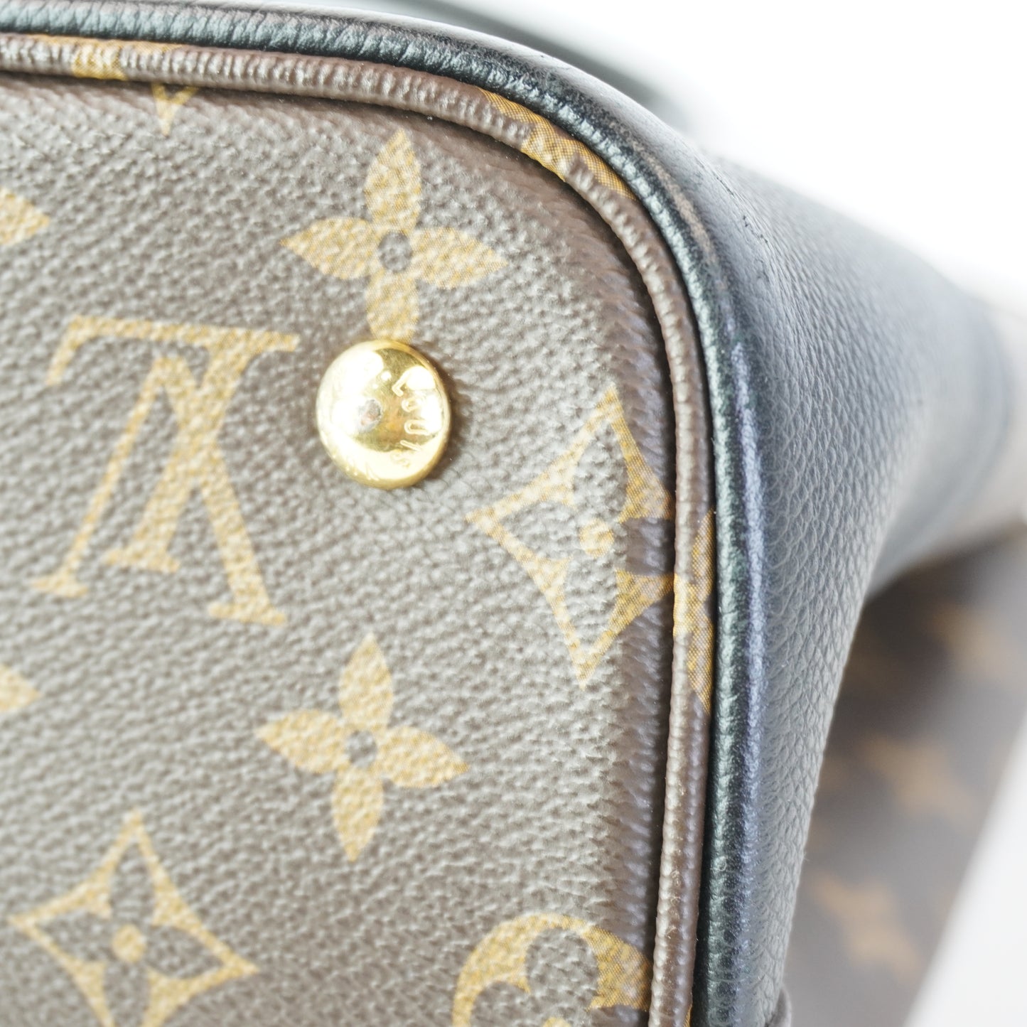 Louis Vuitton Monogram Canvas