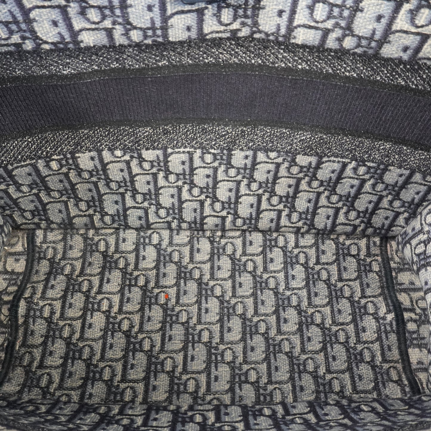 Dior Book Tote Blue Oblique