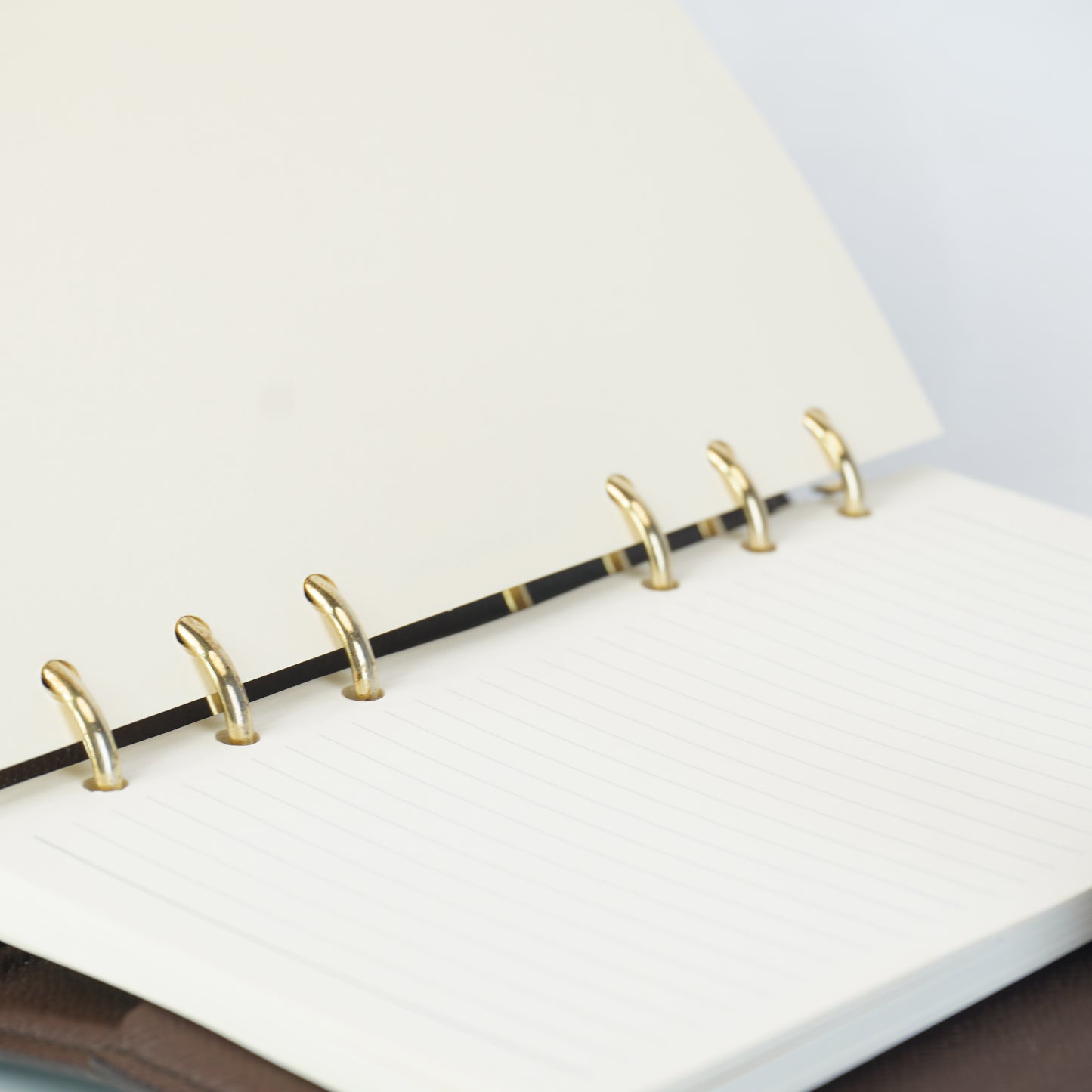 Louis Vuitton Agenda MM DE