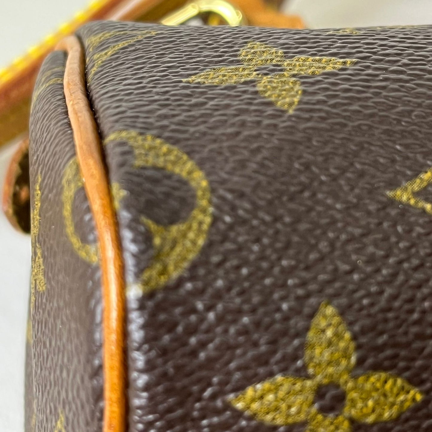 Louis Vuitton	Nano Speedy Monogram Canvas