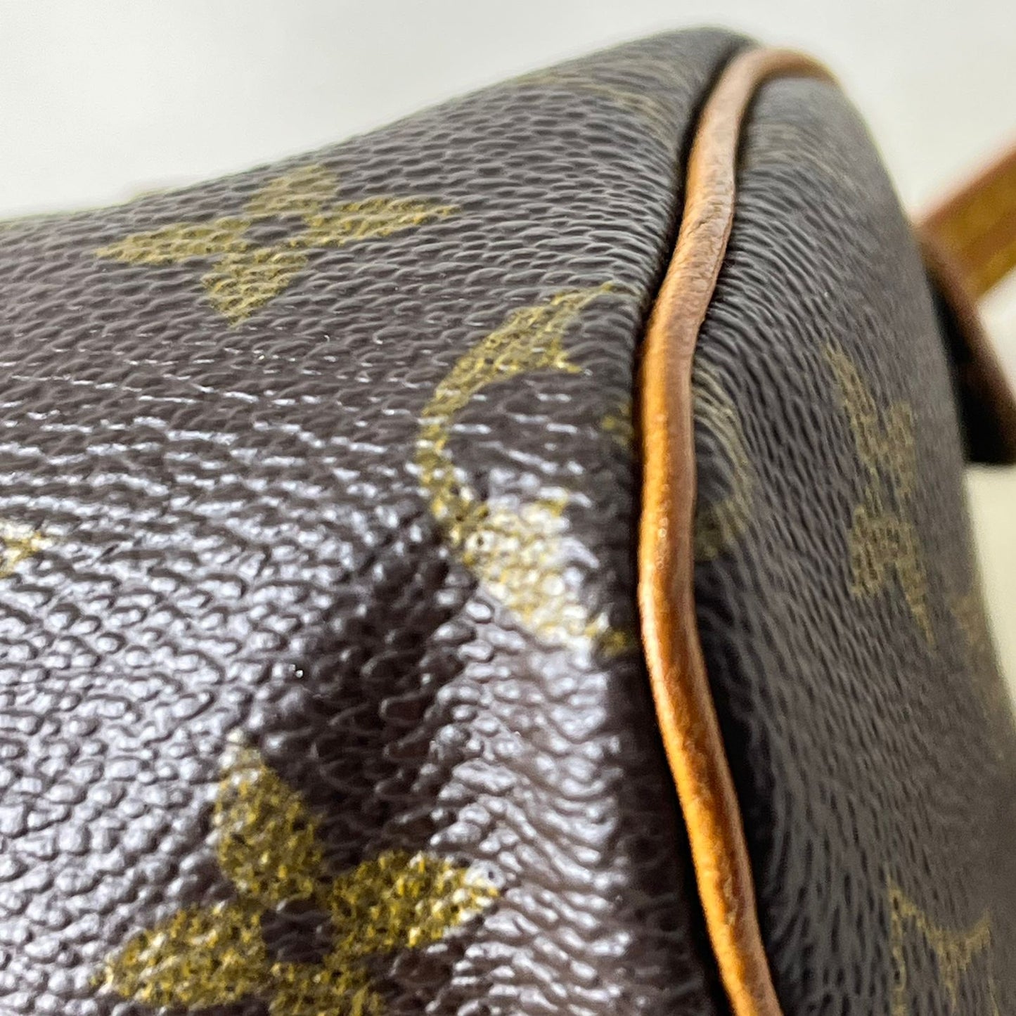 Louis Vuitton	Nano Speedy Monogram Canvas