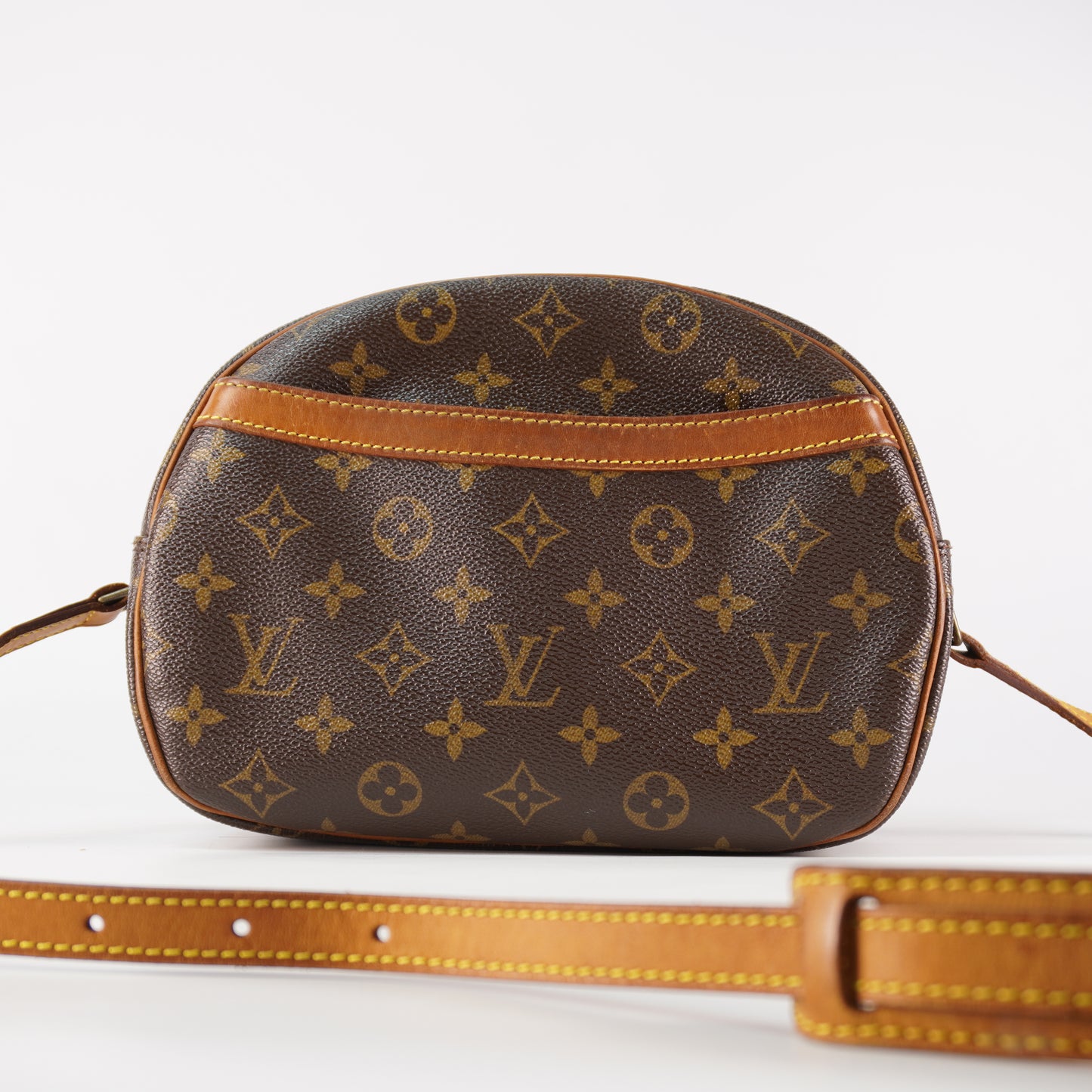 Louis Vuitton Blois Mono