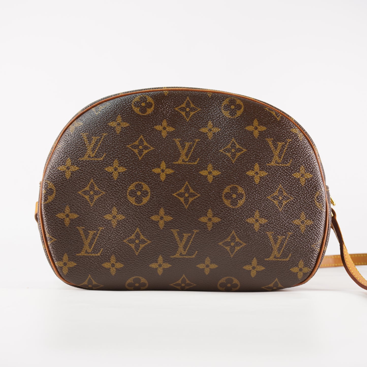 Louis Vuitton Blois Mono