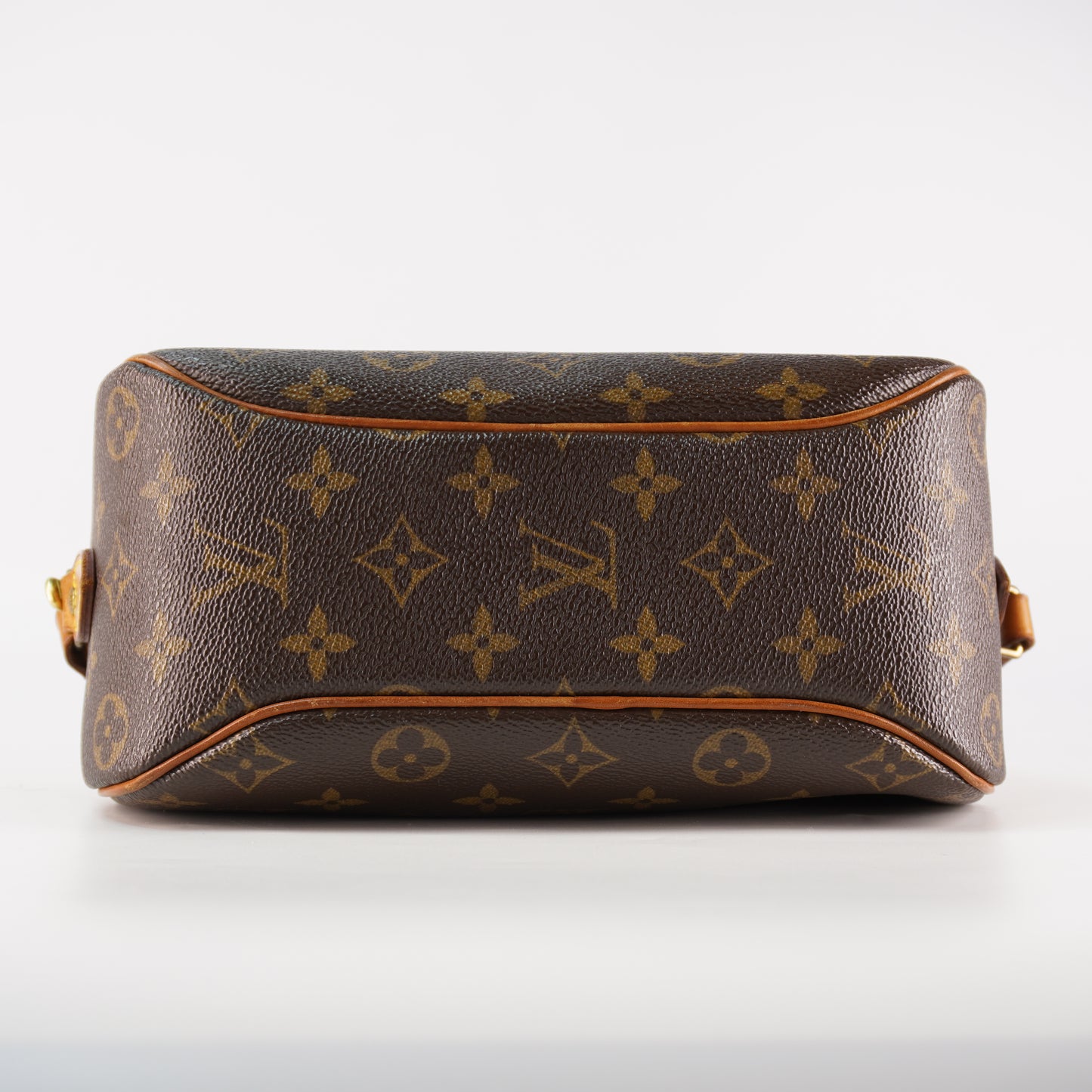 Louis Vuitton Blois Mono