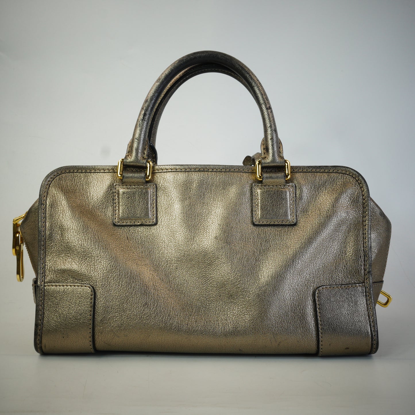 Loewe Pro-Owned Metallic Goatskin Amazona 28 Handbag GHW Medium