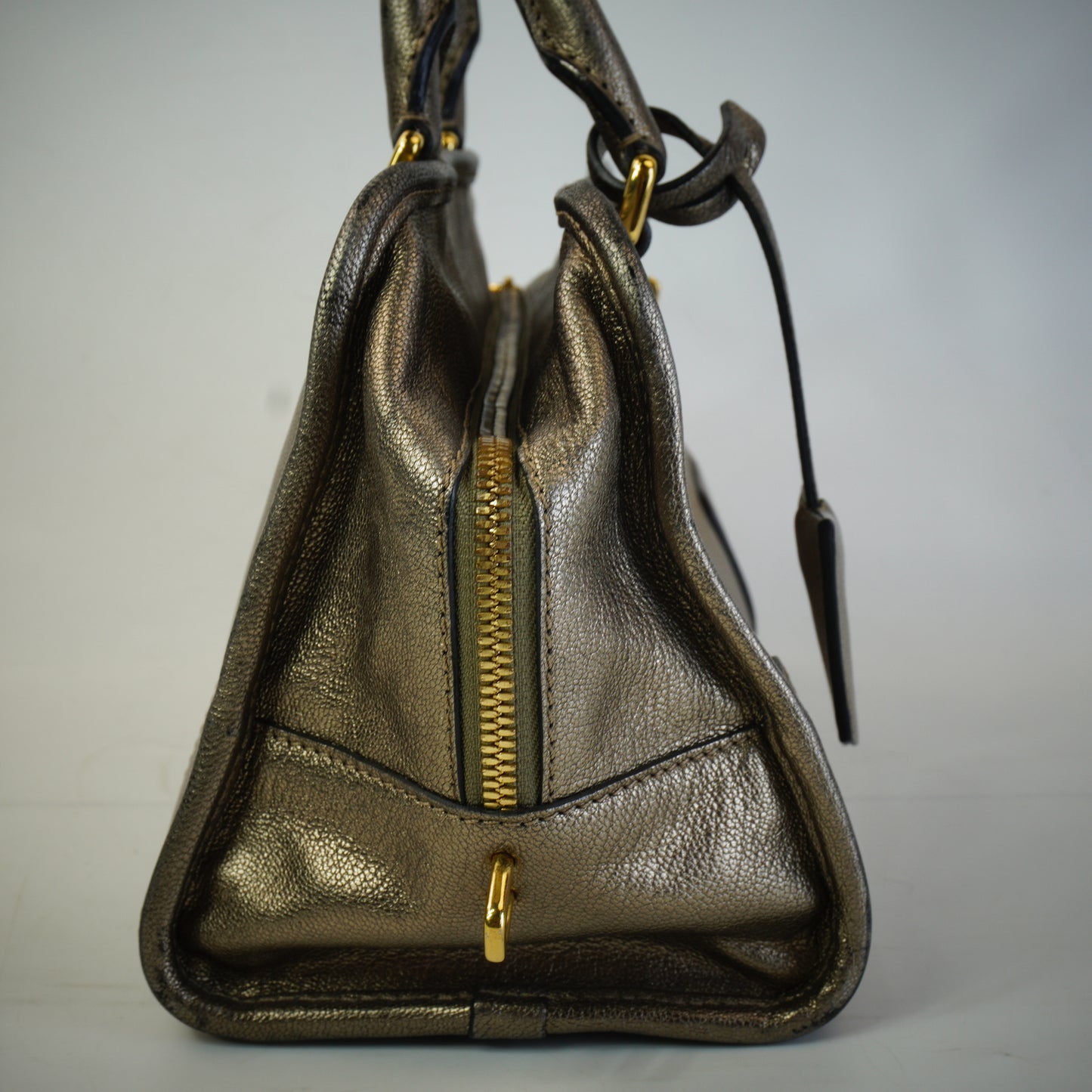 Loewe Pro-Owned Metallic Goatskin Amazona 28 Handbag GHW Medium