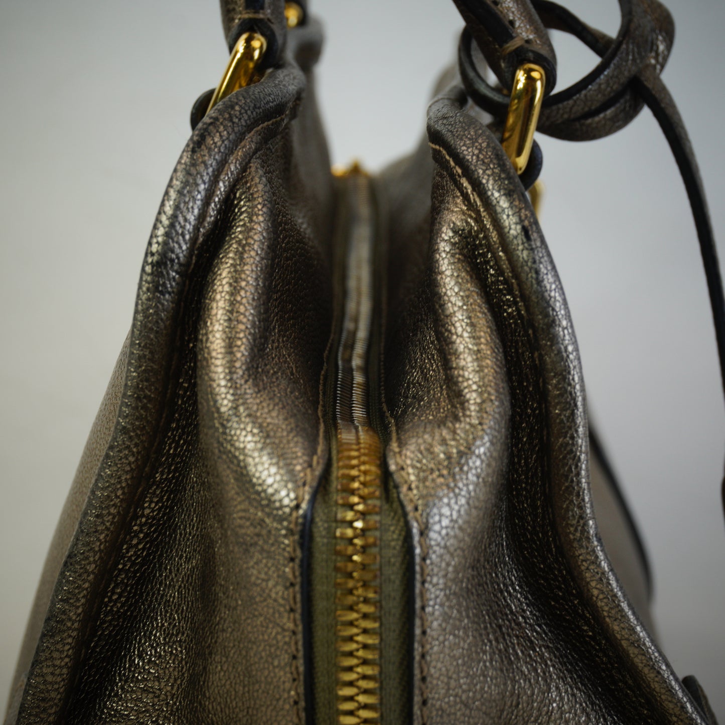 Loewe Pro-Owned Metallic Goatskin Amazona 28 Handbag GHW Medium