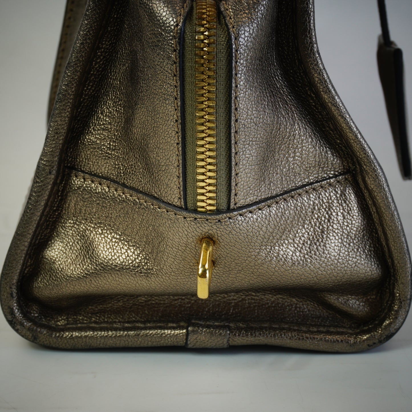 Loewe Pro-Owned Metallic Goatskin Amazona 28 Handbag GHW Medium