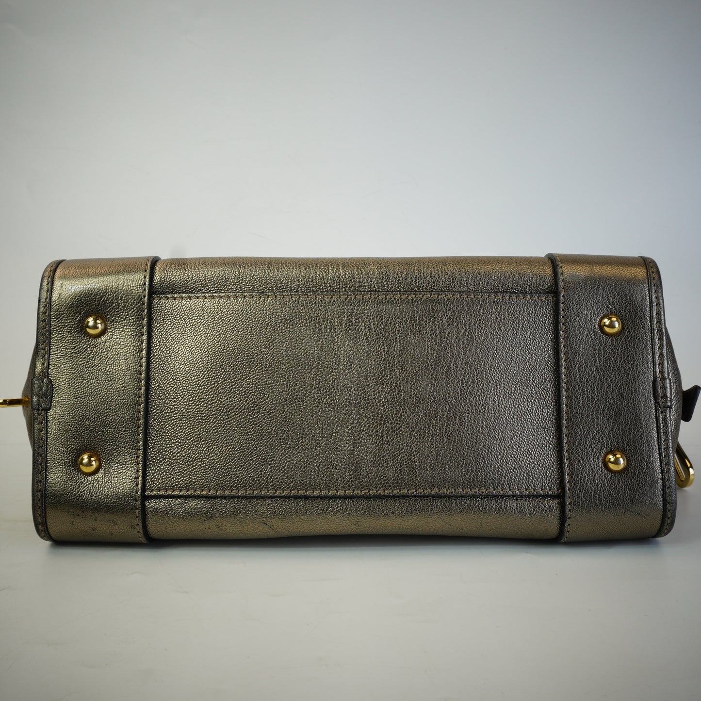 Loewe Pro-Owned Metallic Goatskin Amazona 28 Handbag GHW Medium