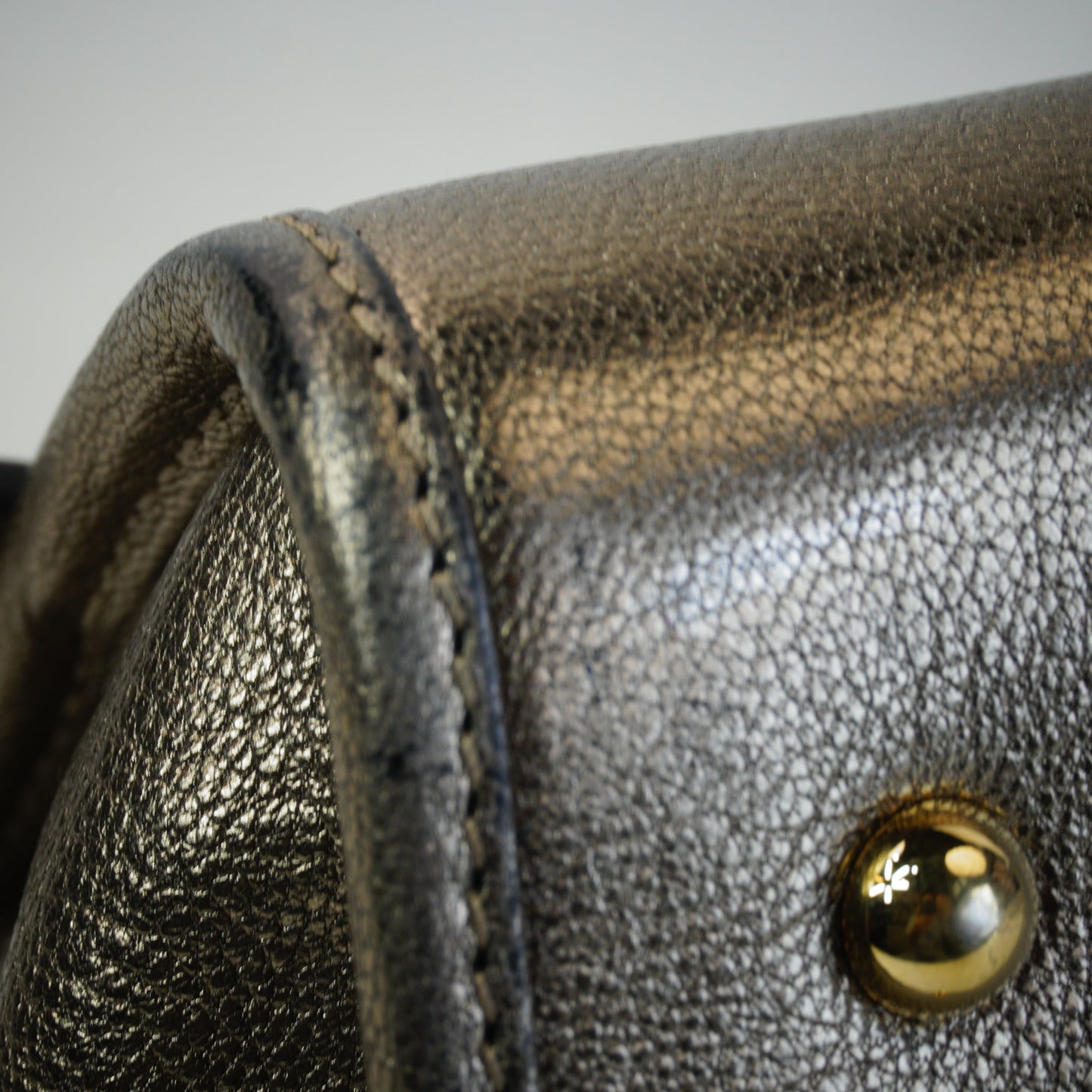 Loewe Pro-Owned Metallic Goatskin Amazona 28 Handbag GHW Medium