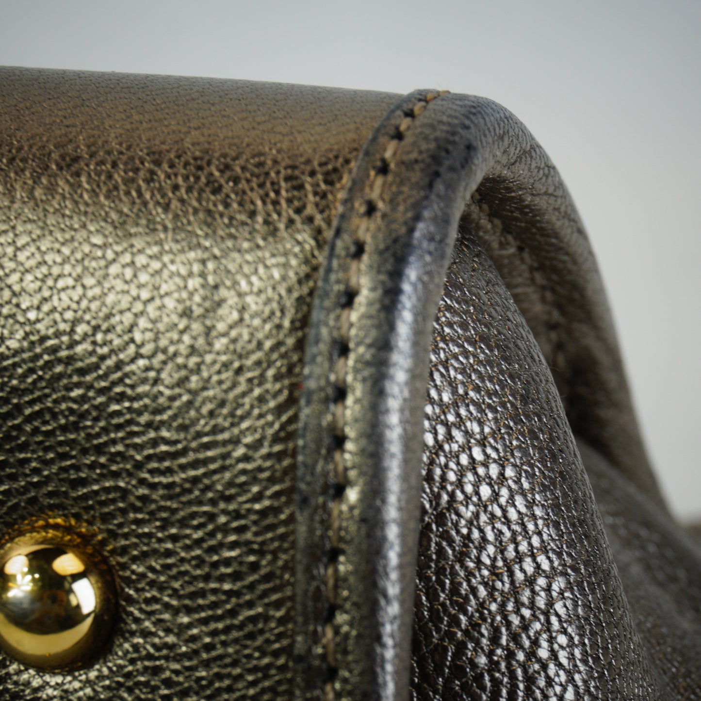 Loewe Pro-Owned Metallic Goatskin Amazona 28 Handbag GHW Medium