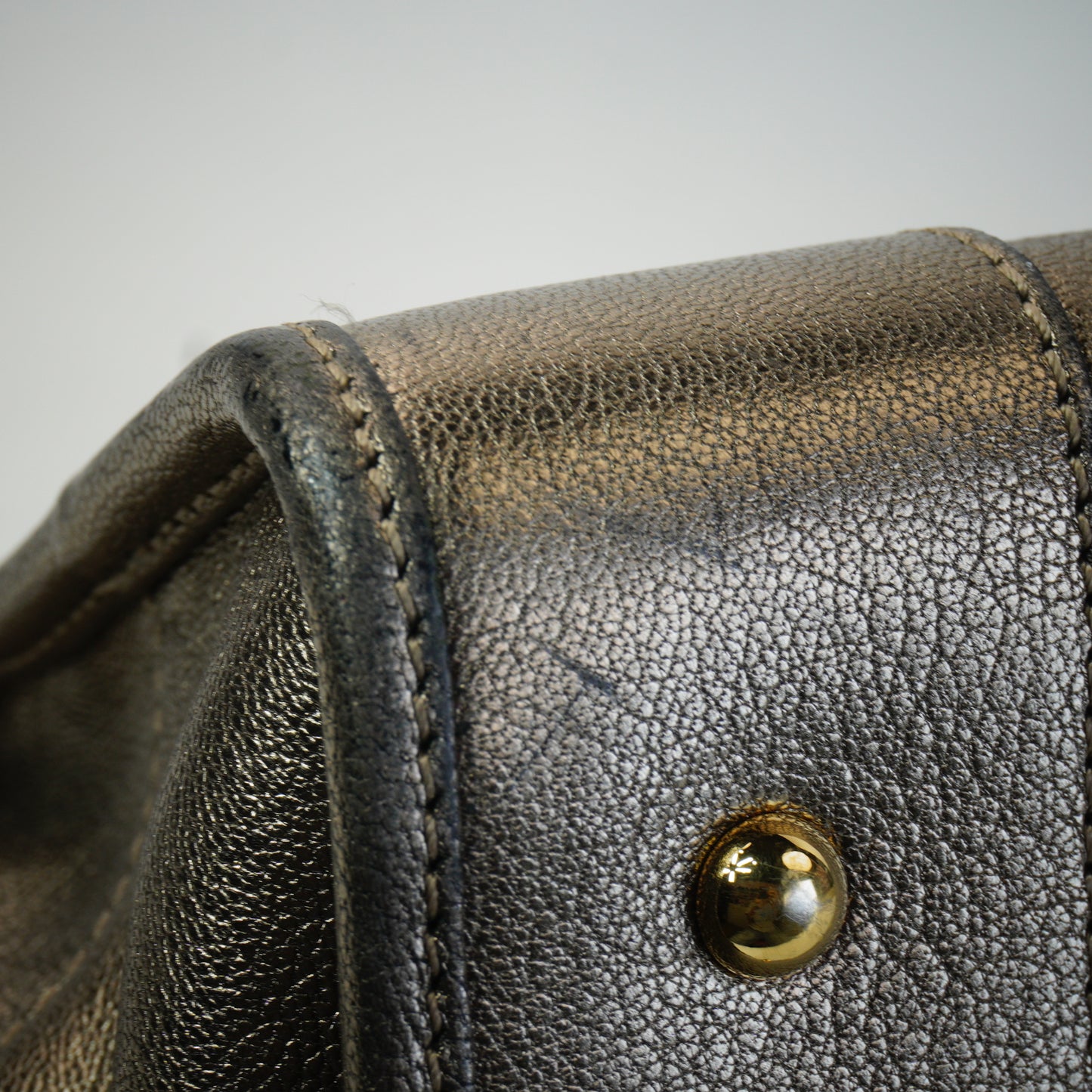 Loewe Pro-Owned Metallic Goatskin Amazona 28 Handbag GHW Medium
