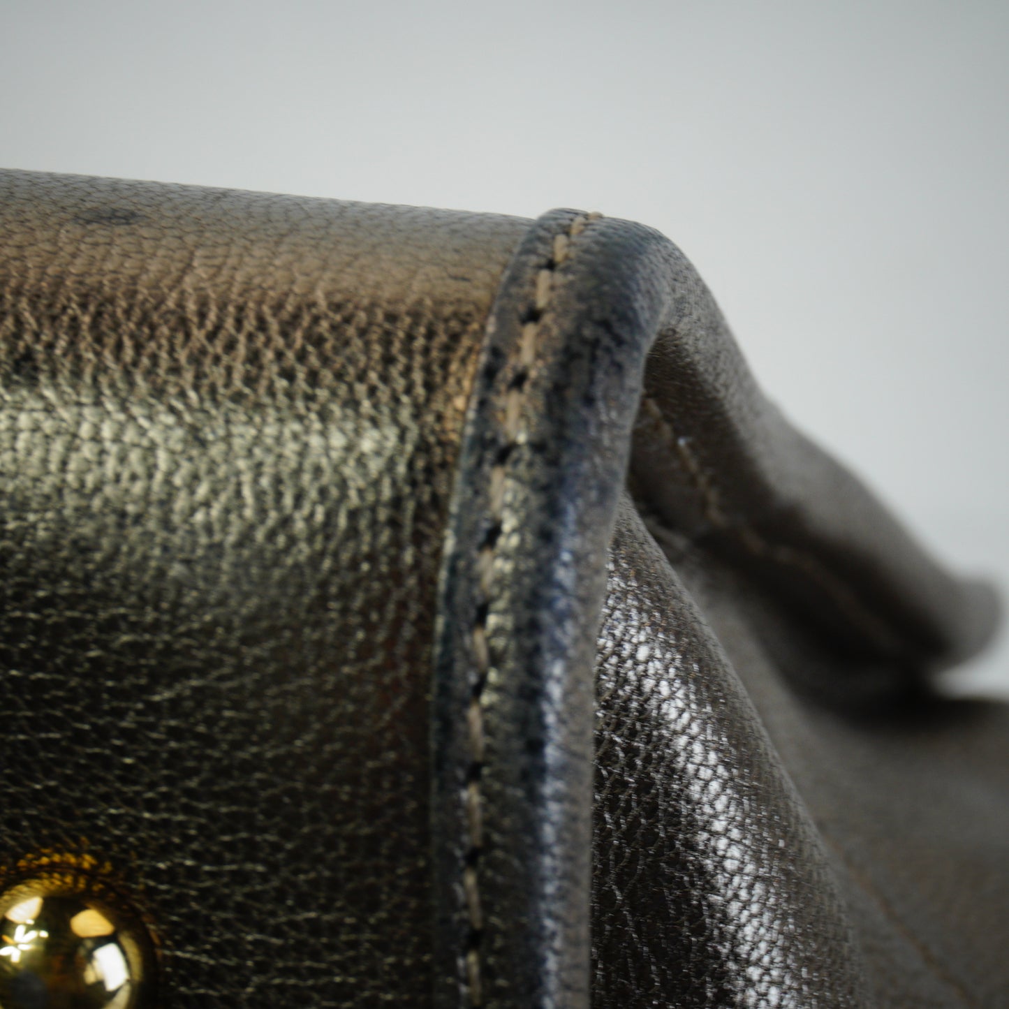 Loewe Pro-Owned Metallic Goatskin Amazona 28 Handbag GHW Medium
