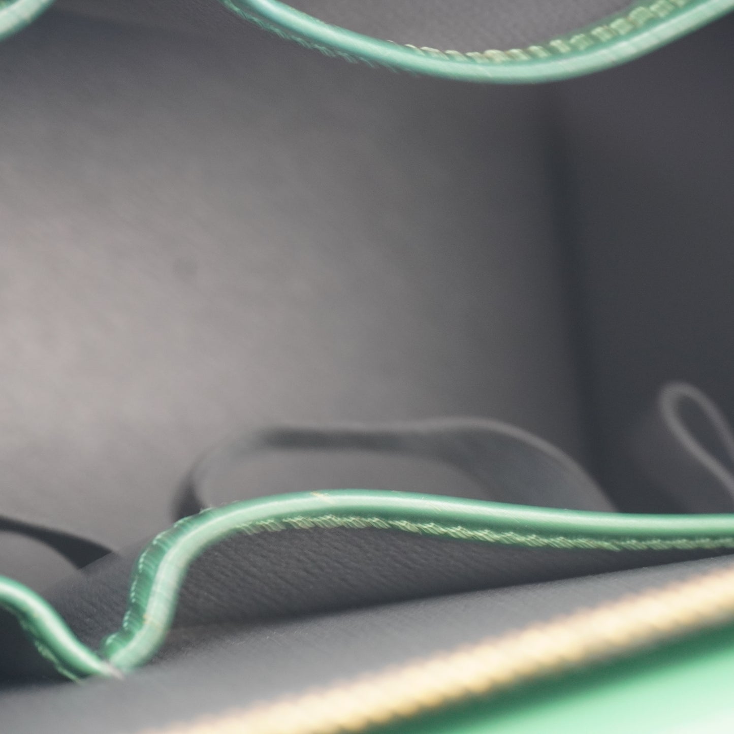 Louis Vuitton	Borneo Epi Riviera Green