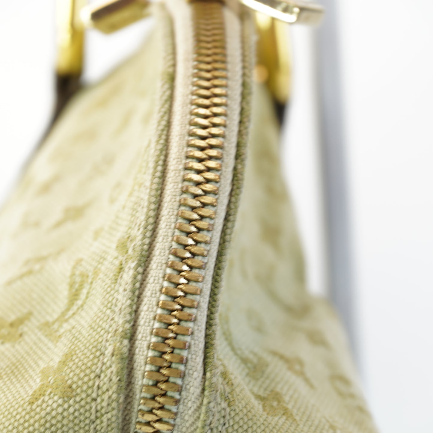 Louis Vuitton	Mini Lin Long Mono Green
