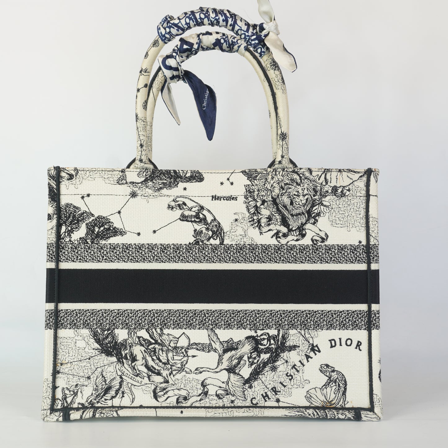 Dior	Book tote SHW Large