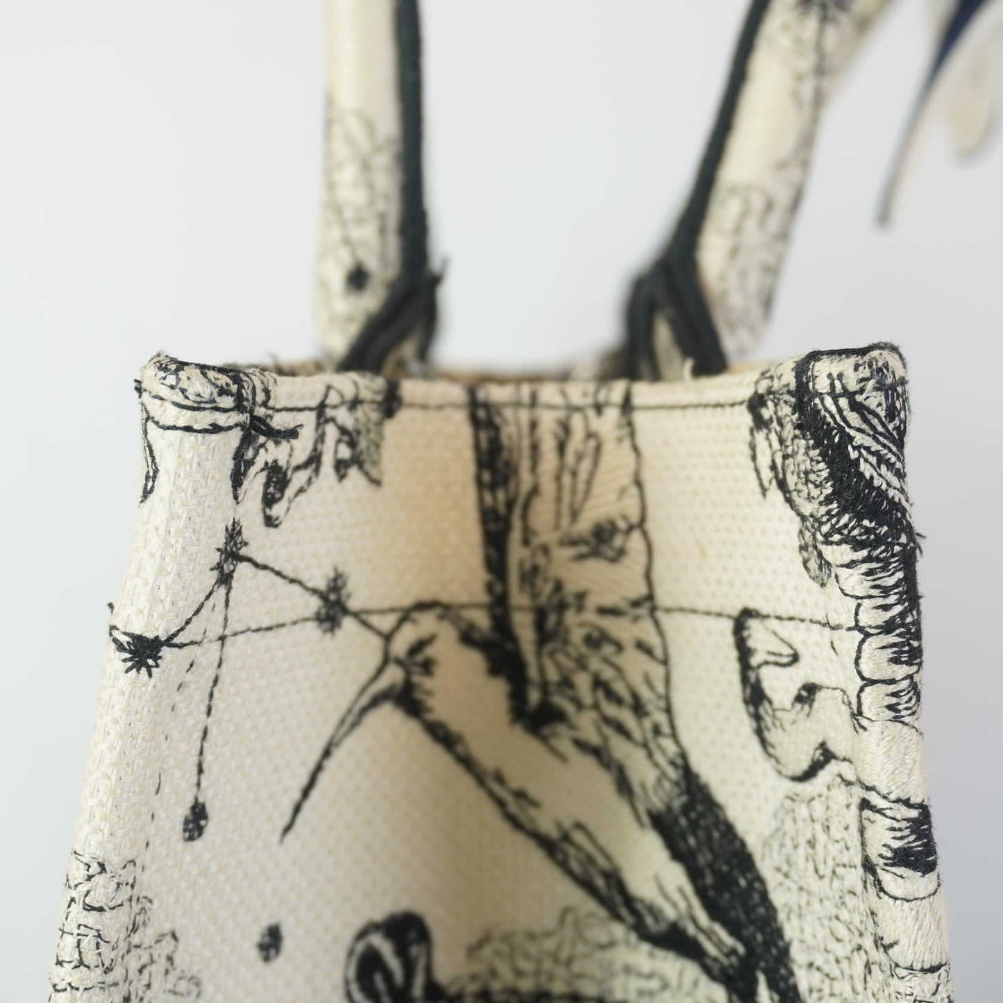Dior	Book tote SHW Large