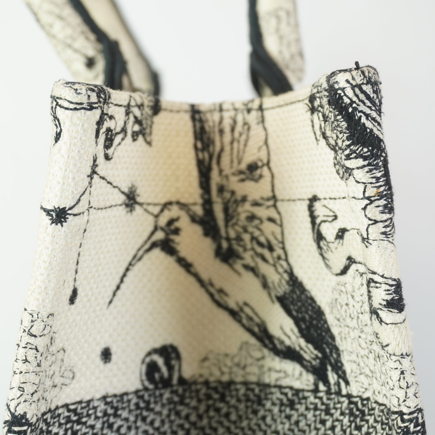Dior	Book tote SHW Large