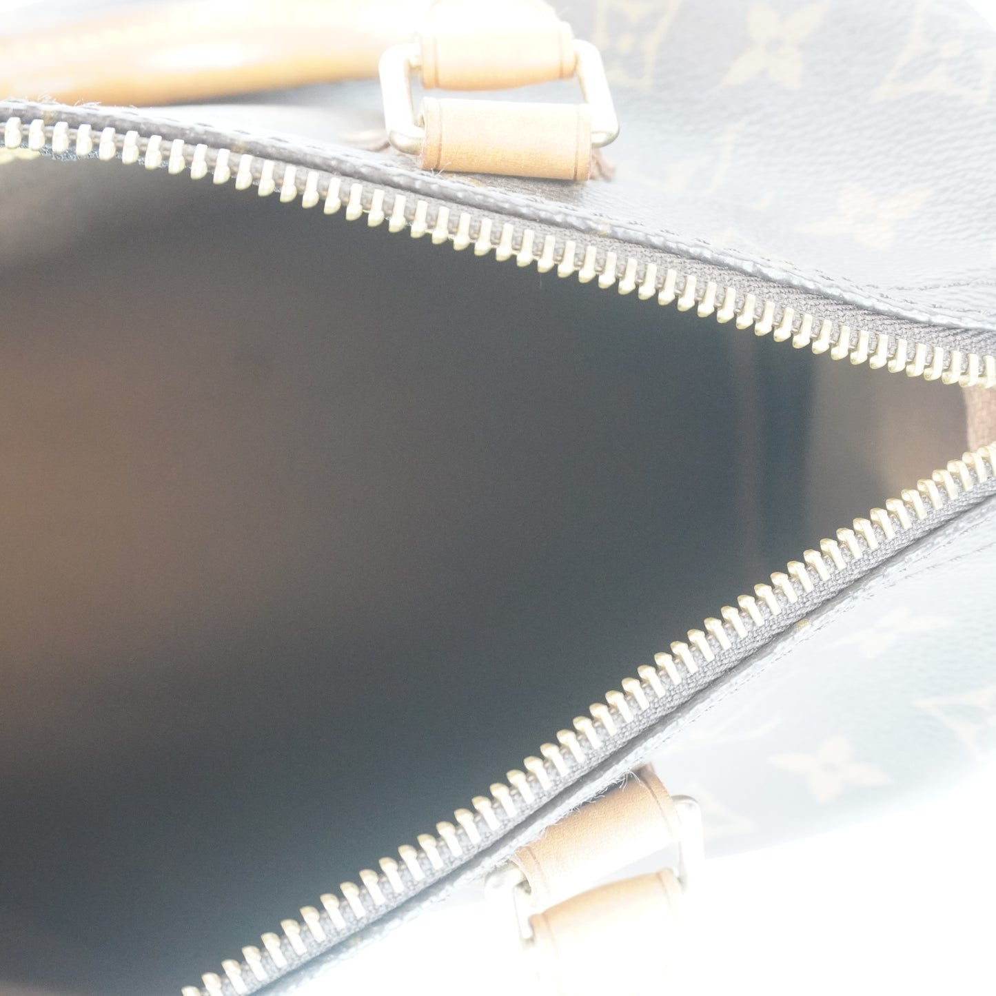 Louis Vuitton	Speedy 25 Mono