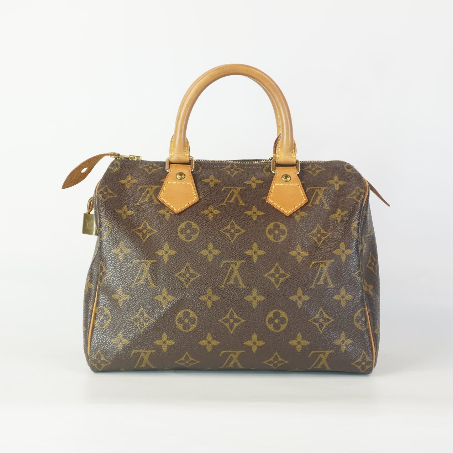 Louis Vuitton	Speedy 25 Mono