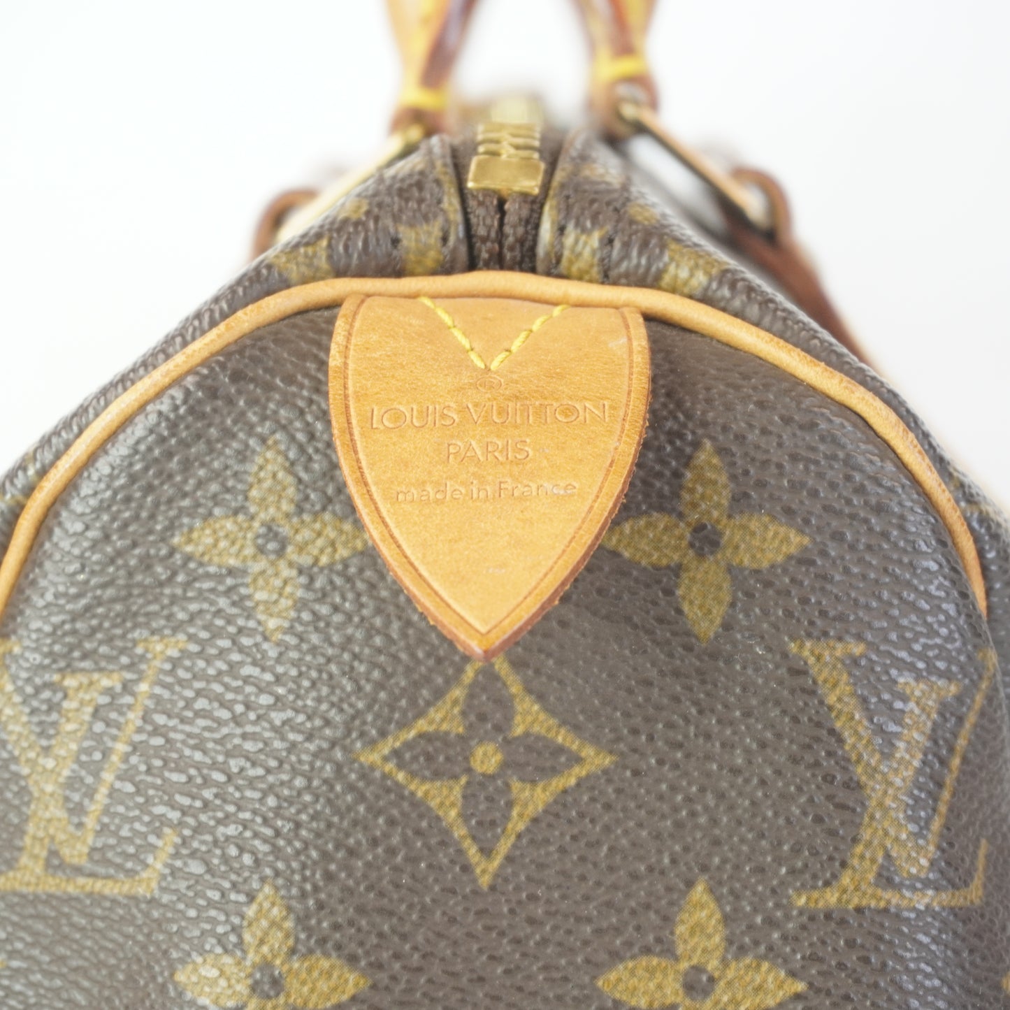 Louis Vuitton	Speedy 25 Mono