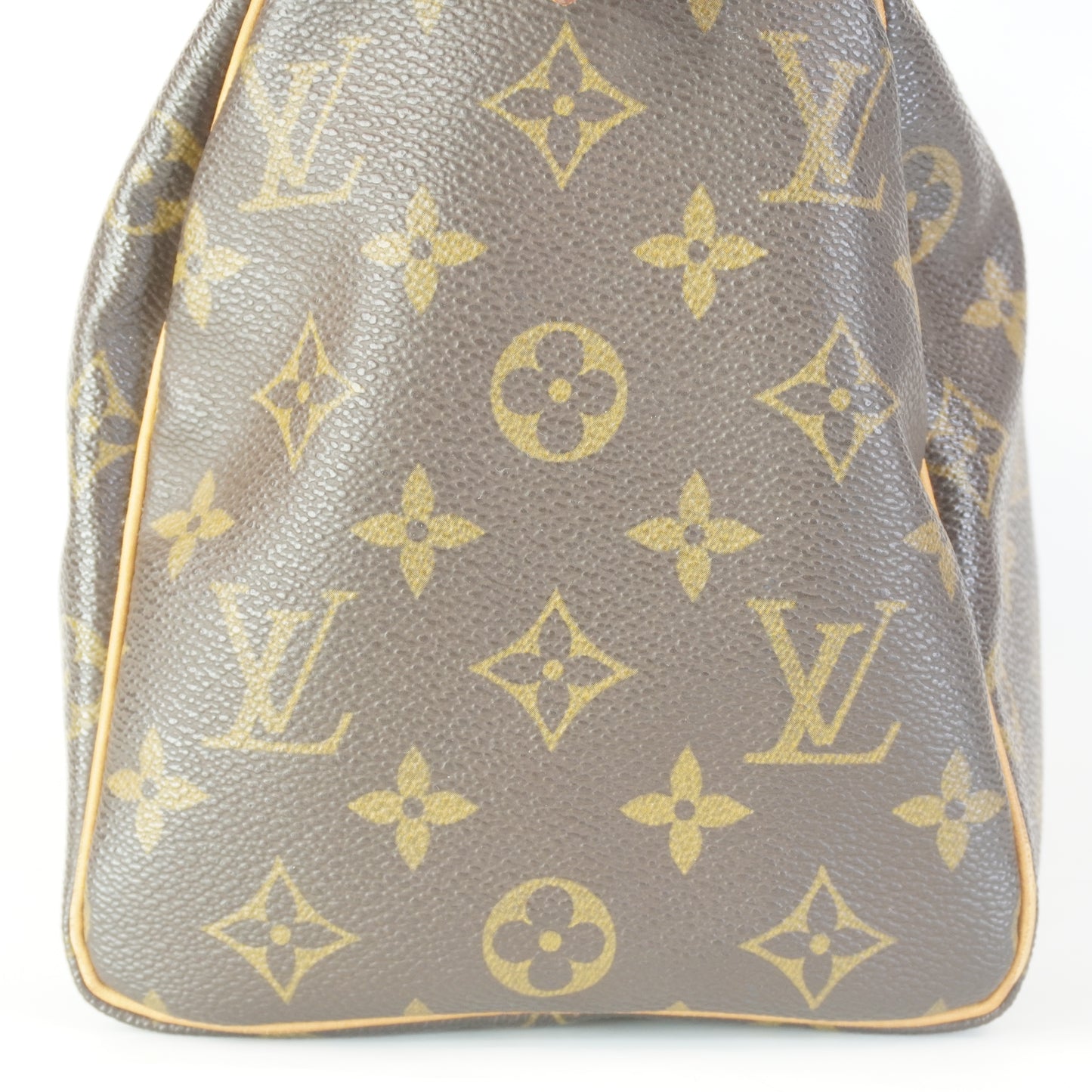 Louis Vuitton	Speedy 25 Mono