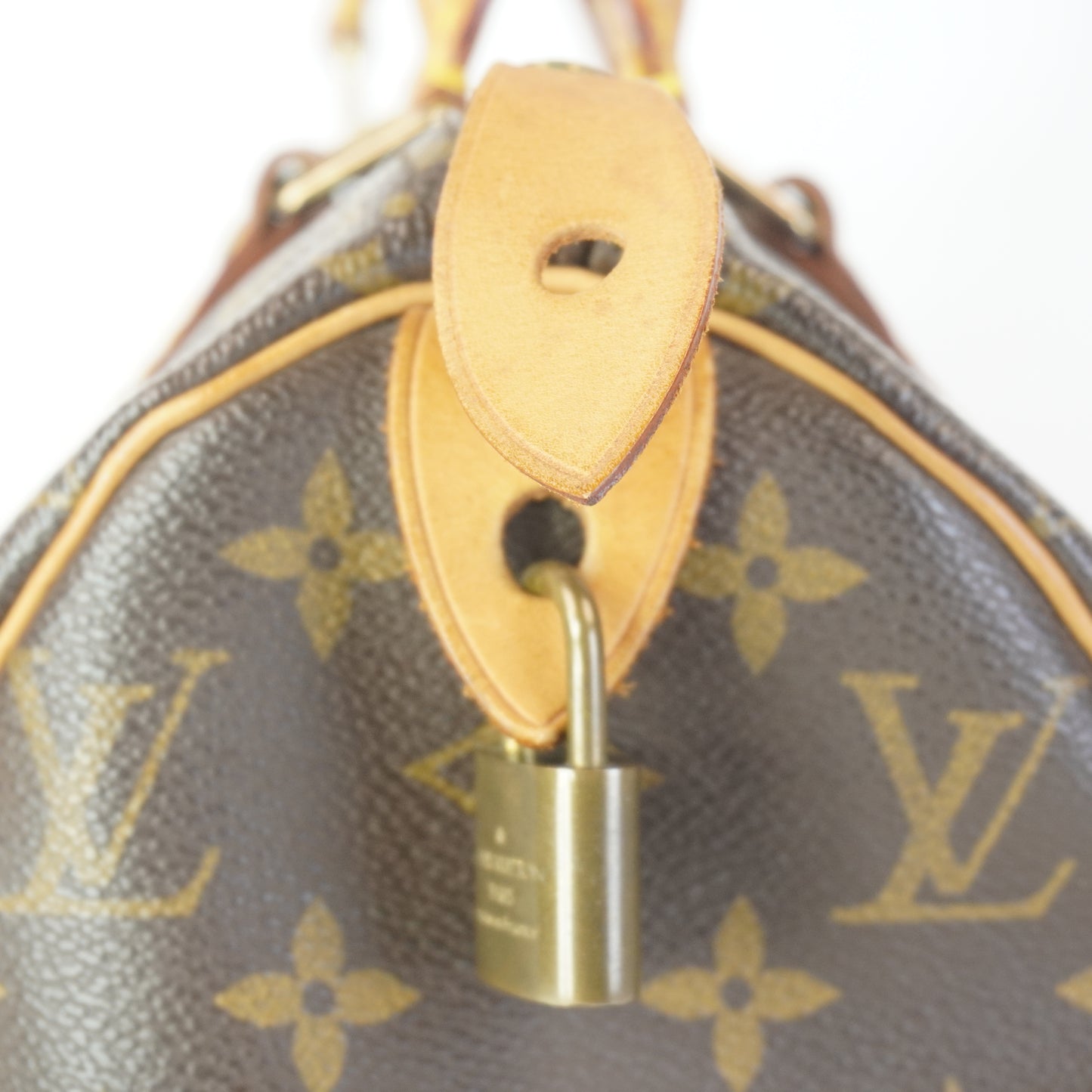 Louis Vuitton	Speedy 25 Mono
