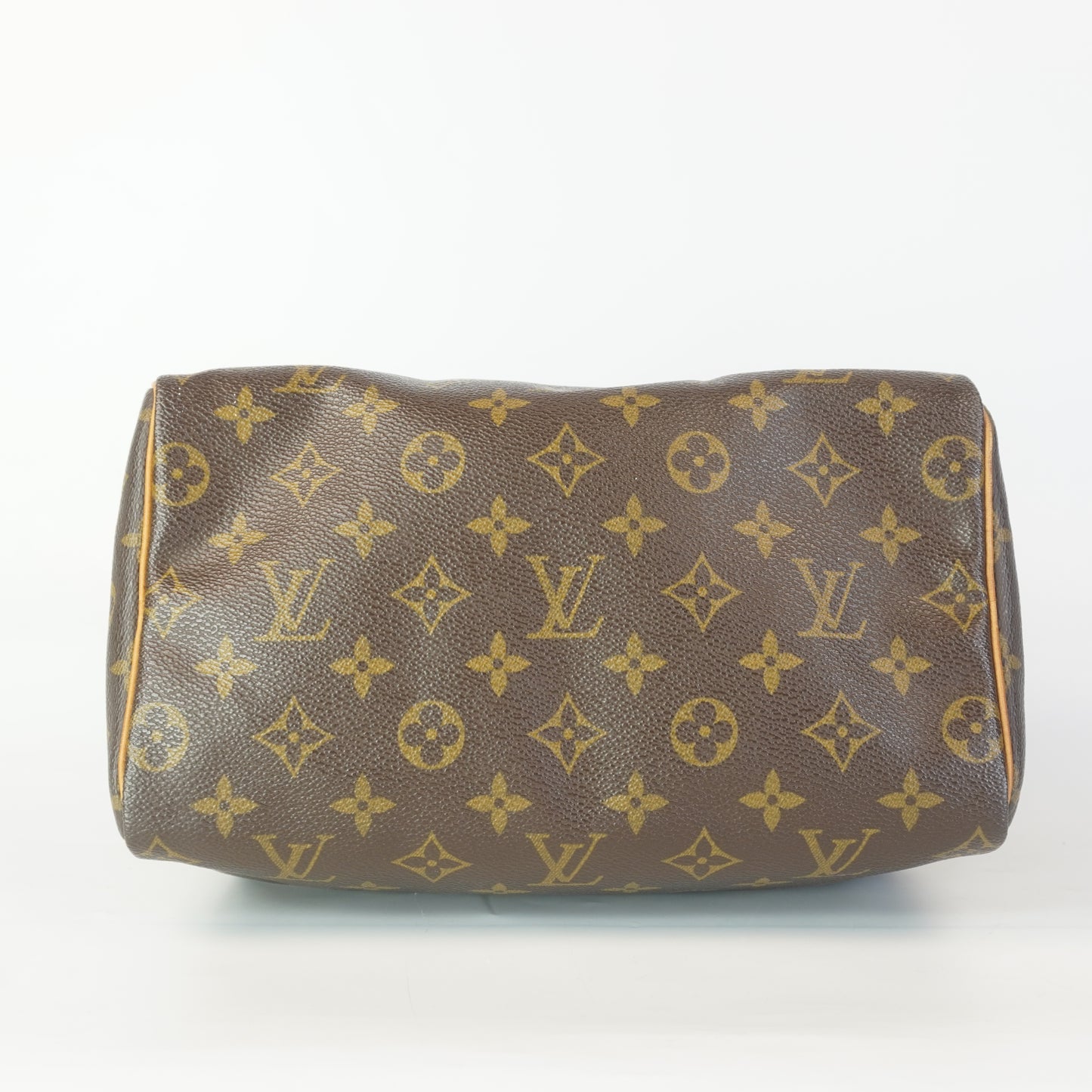 Louis Vuitton	Speedy 25 Mono