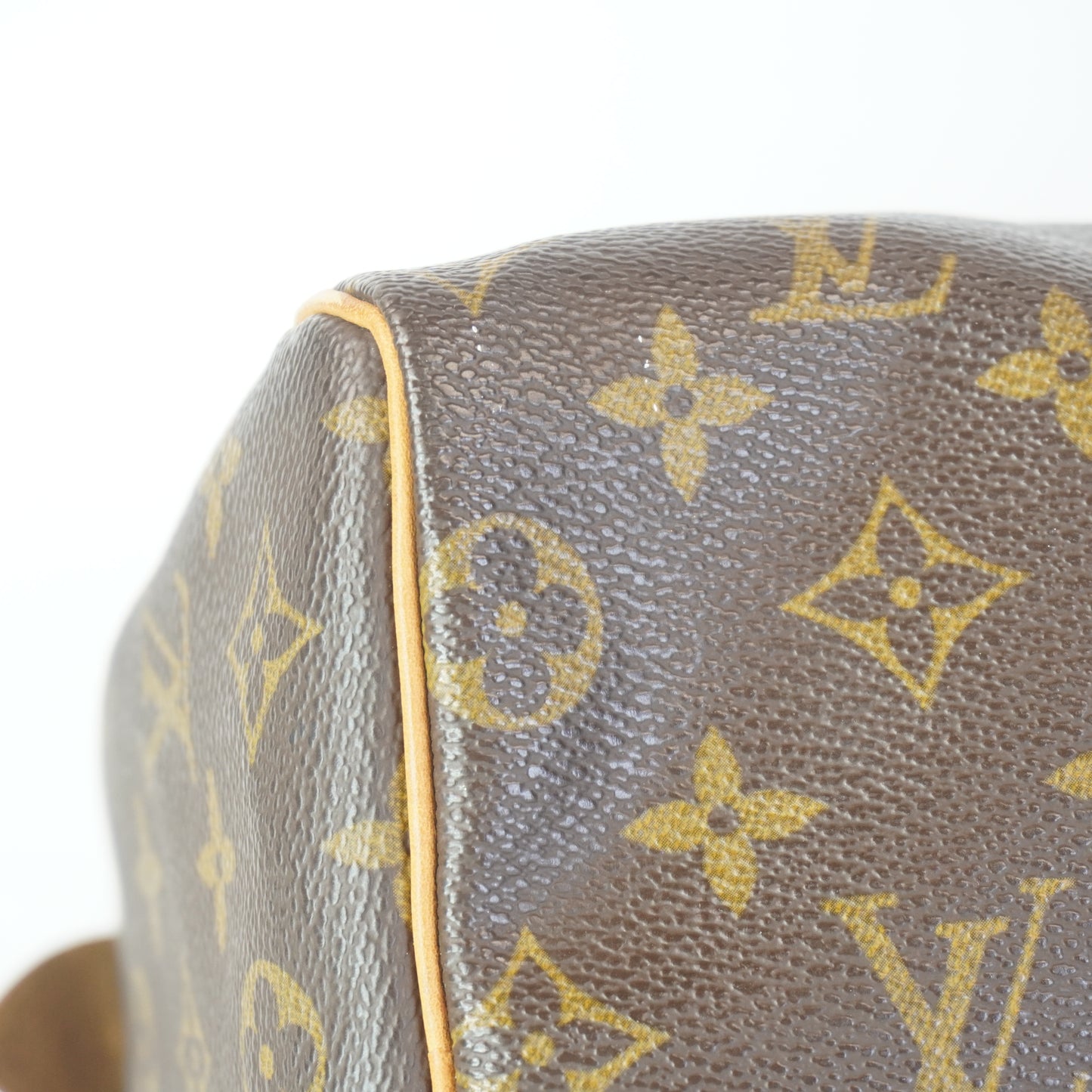 Louis Vuitton	Speedy 25 Mono