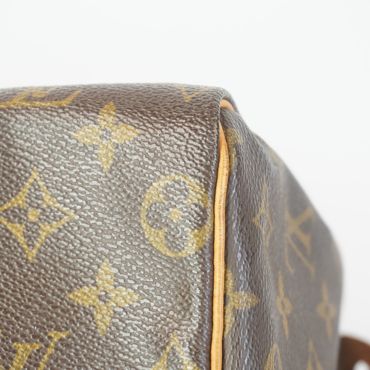 Louis Vuitton	Speedy 25 Mono