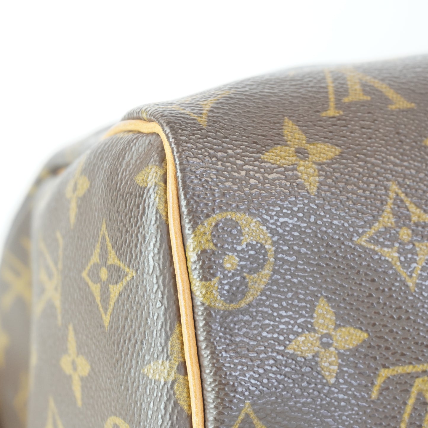 Louis Vuitton	Speedy 25 Mono