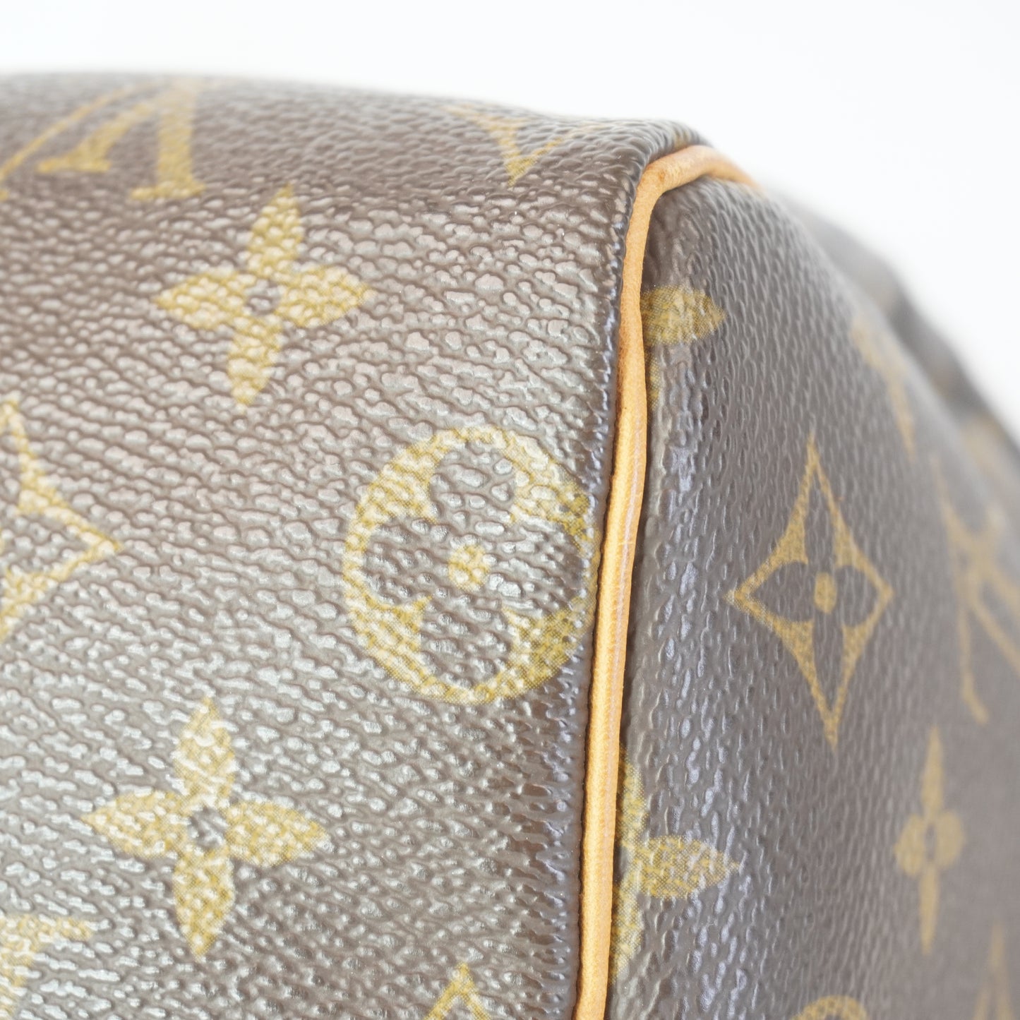 Louis Vuitton	Speedy 25 Mono