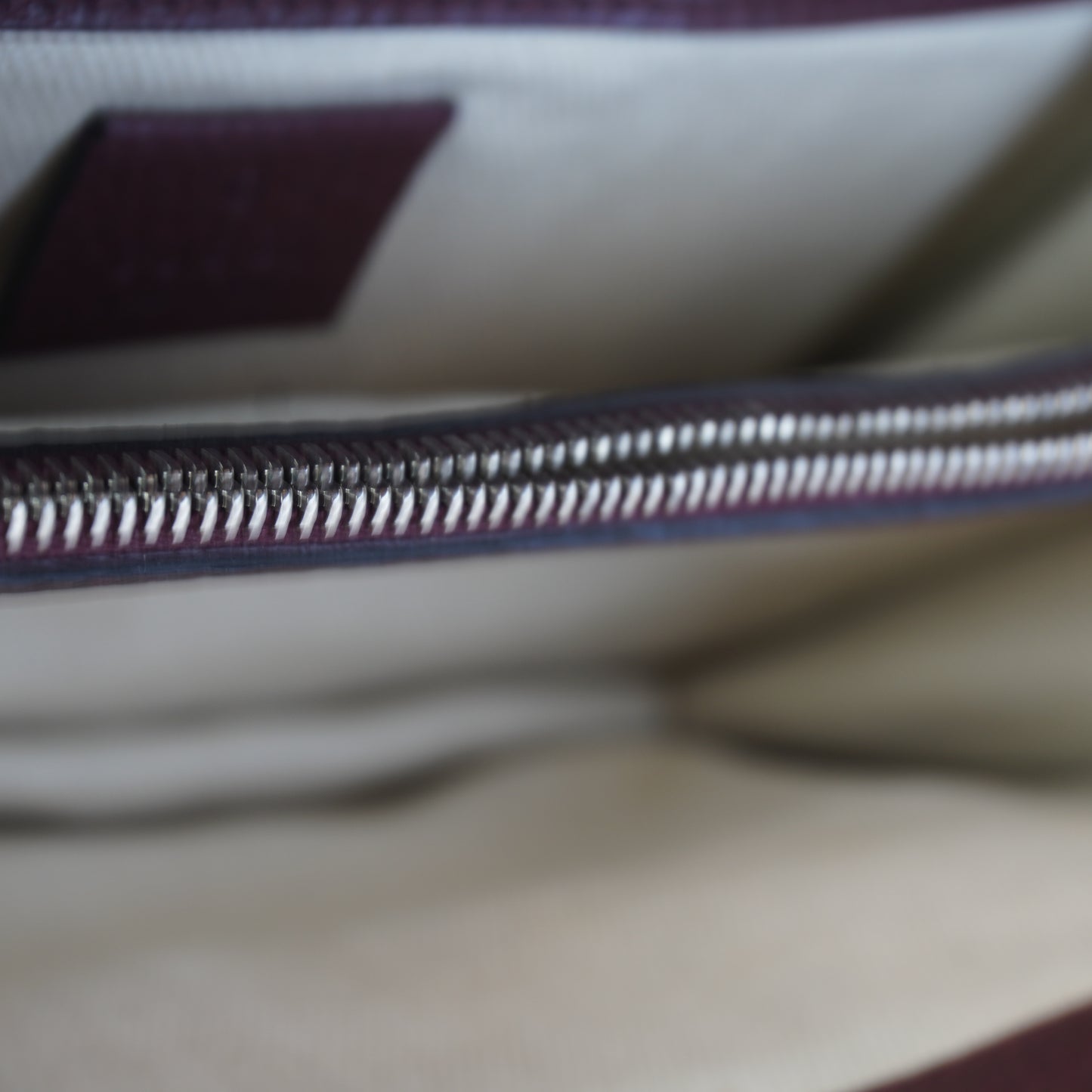 Gucci Dionysus Burgundy
