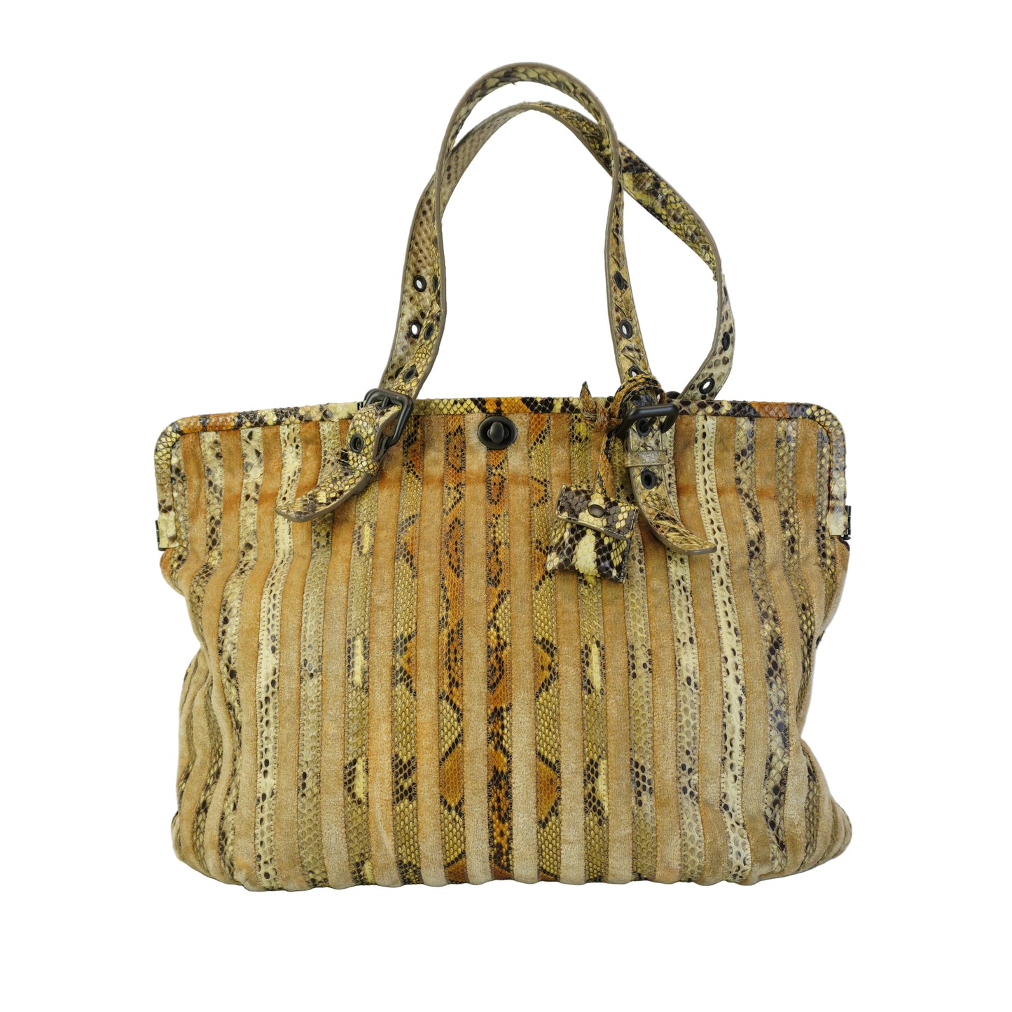 Bottega Veneta Beige Python & Velvet Resina Tote