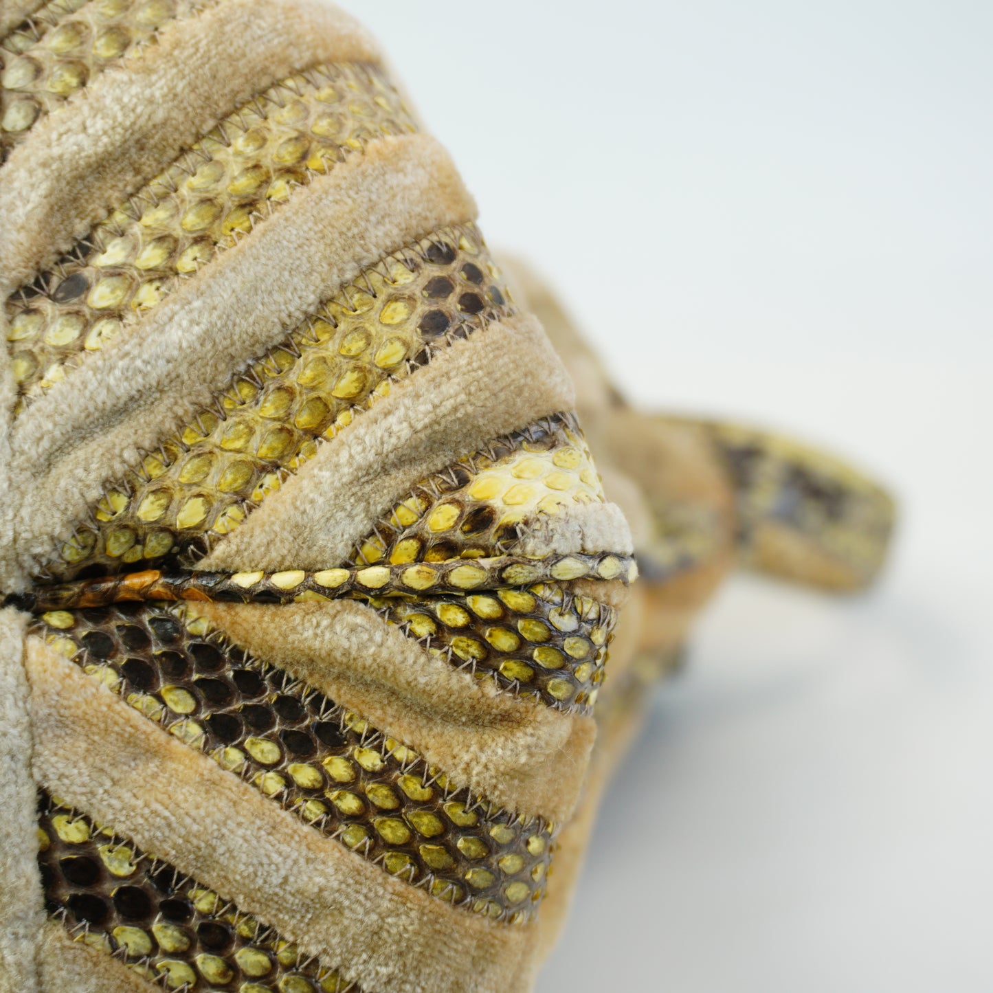 Bottega Veneta Beige Python & Velvet Resina Tote