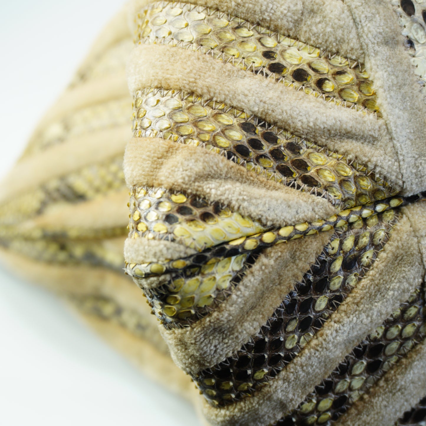 Bottega Veneta Beige Python & Velvet Resina Tote