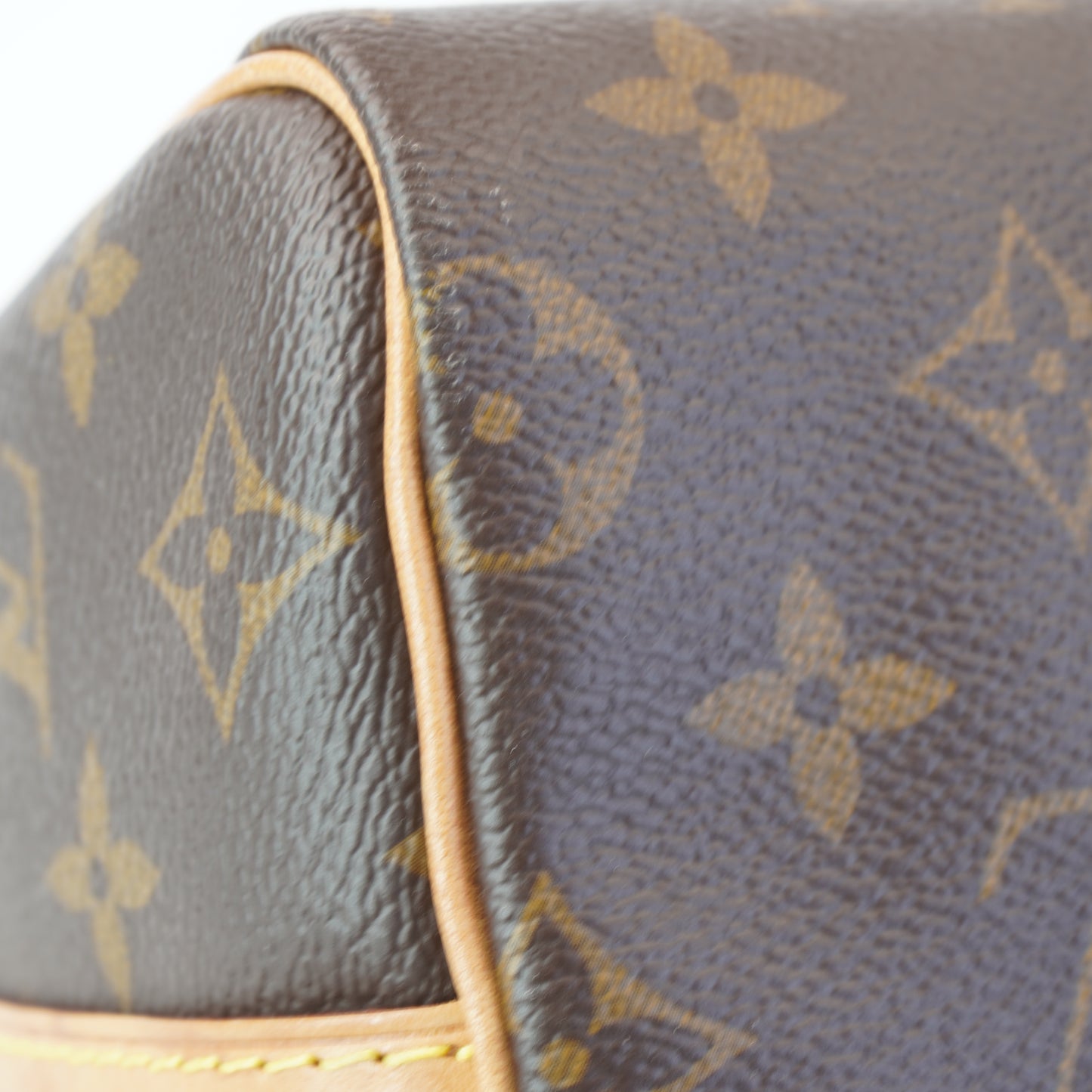 Louis Vuitton	Speedy Bando Mono 25
