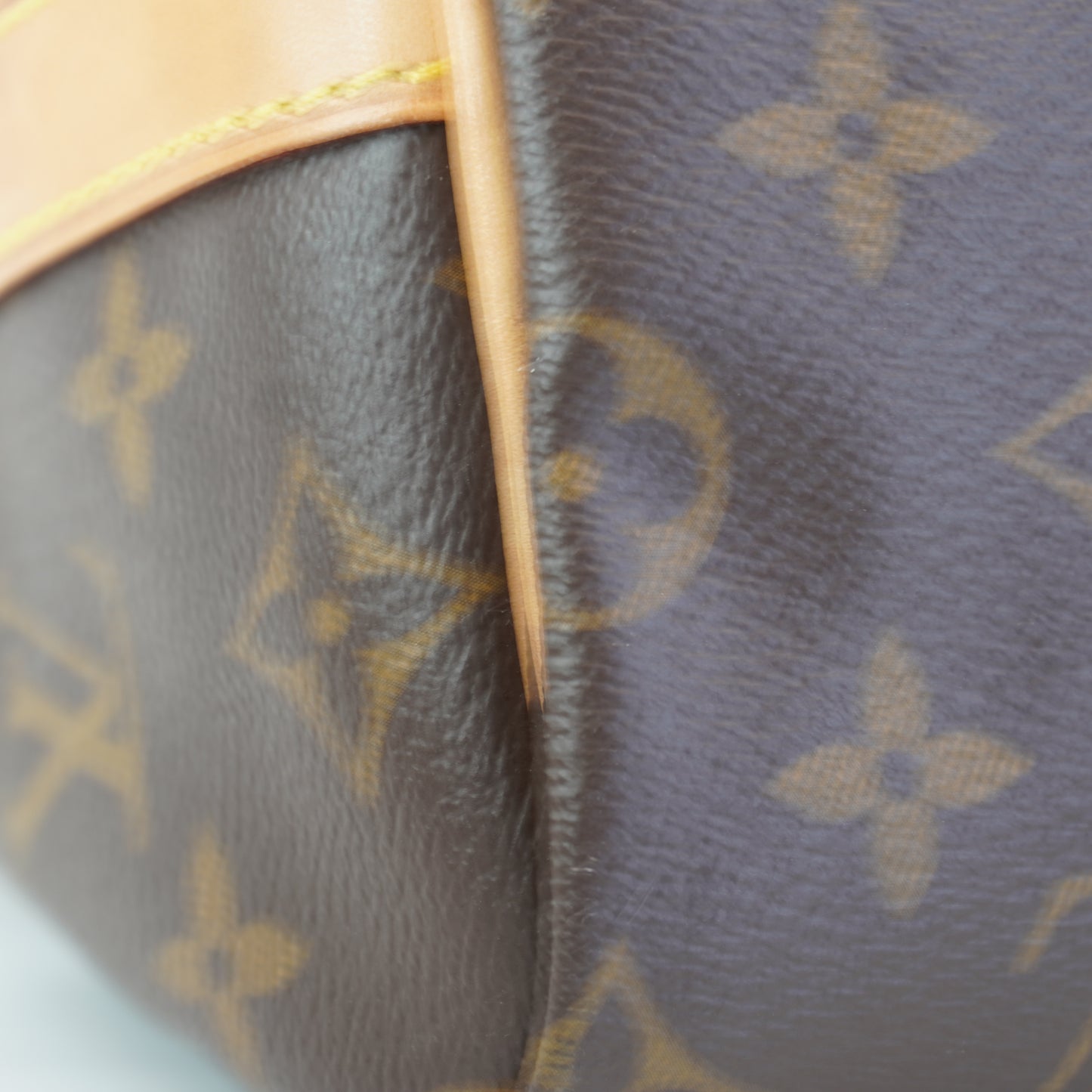 Louis Vuitton	Speedy Bando Mono 25