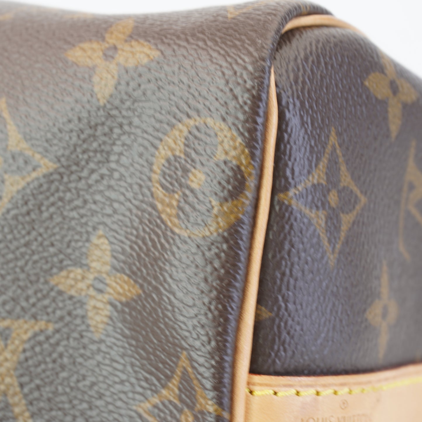 Louis Vuitton	Speedy Bando Mono 25