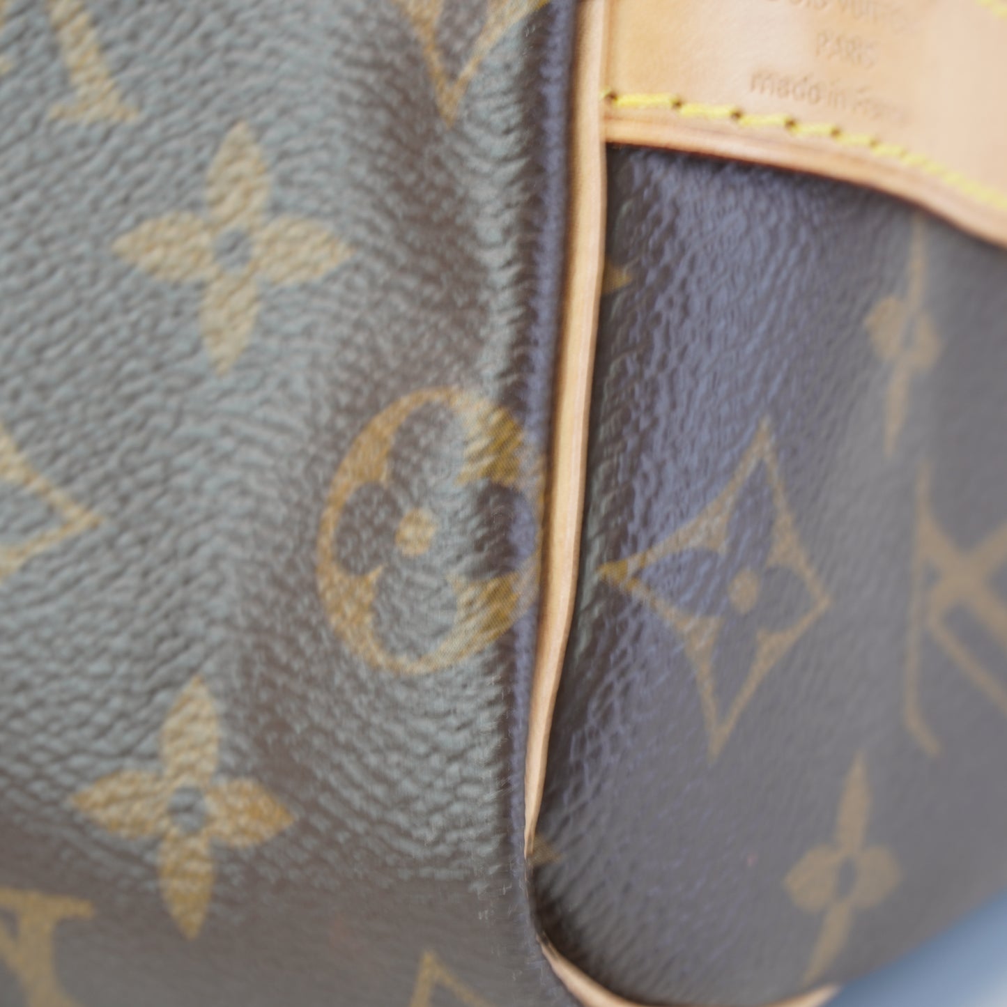 Louis Vuitton	Speedy Bando Mono 25