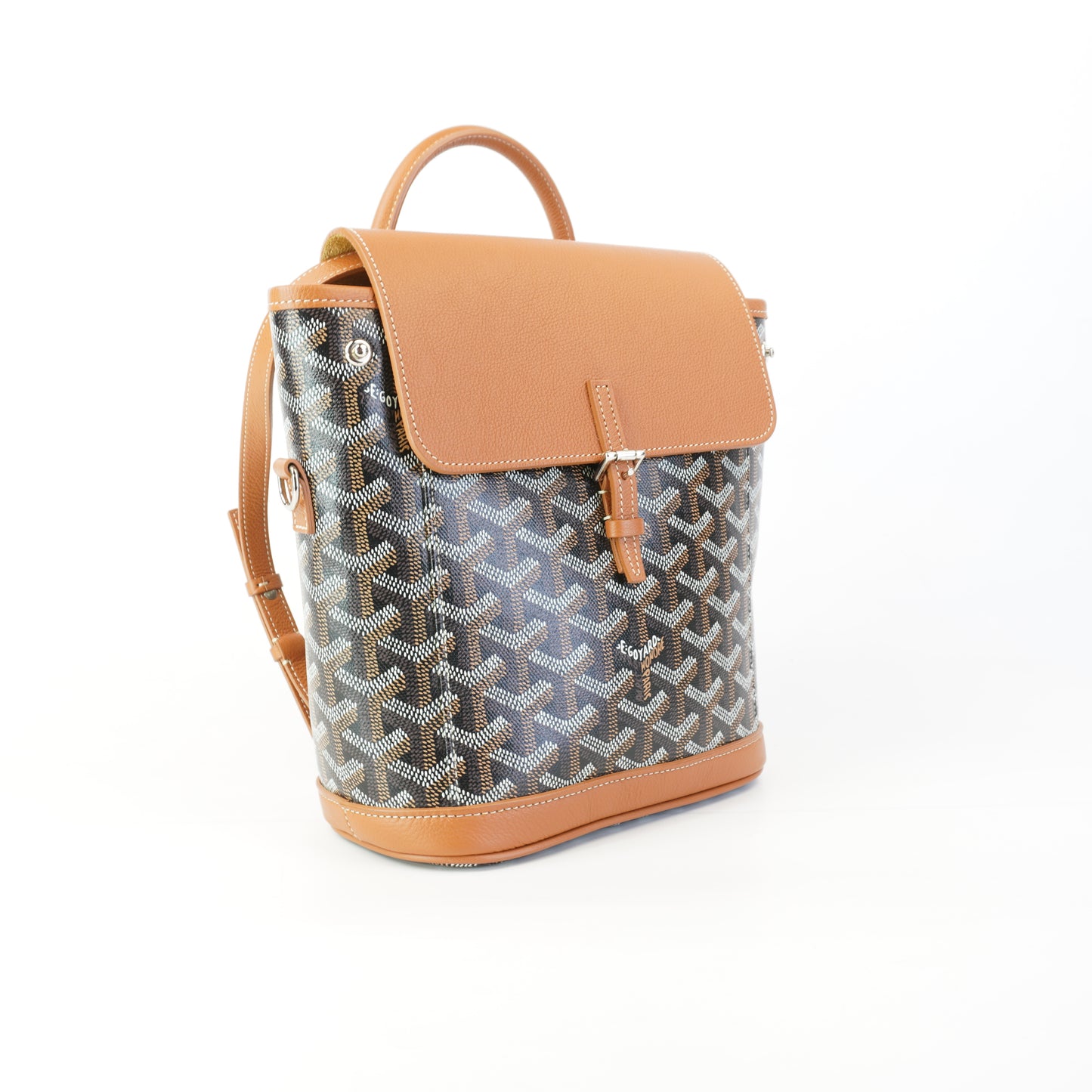 Goyard Alpin 2 Mni Sac