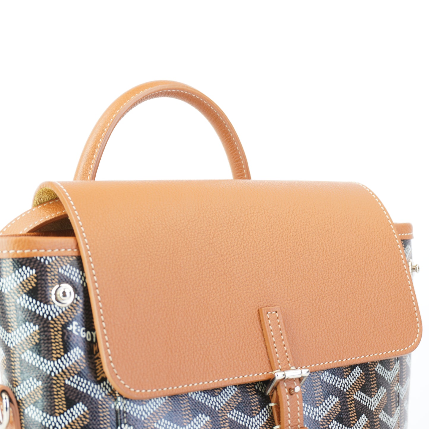 Goyard Alpin 2 Mni Sac