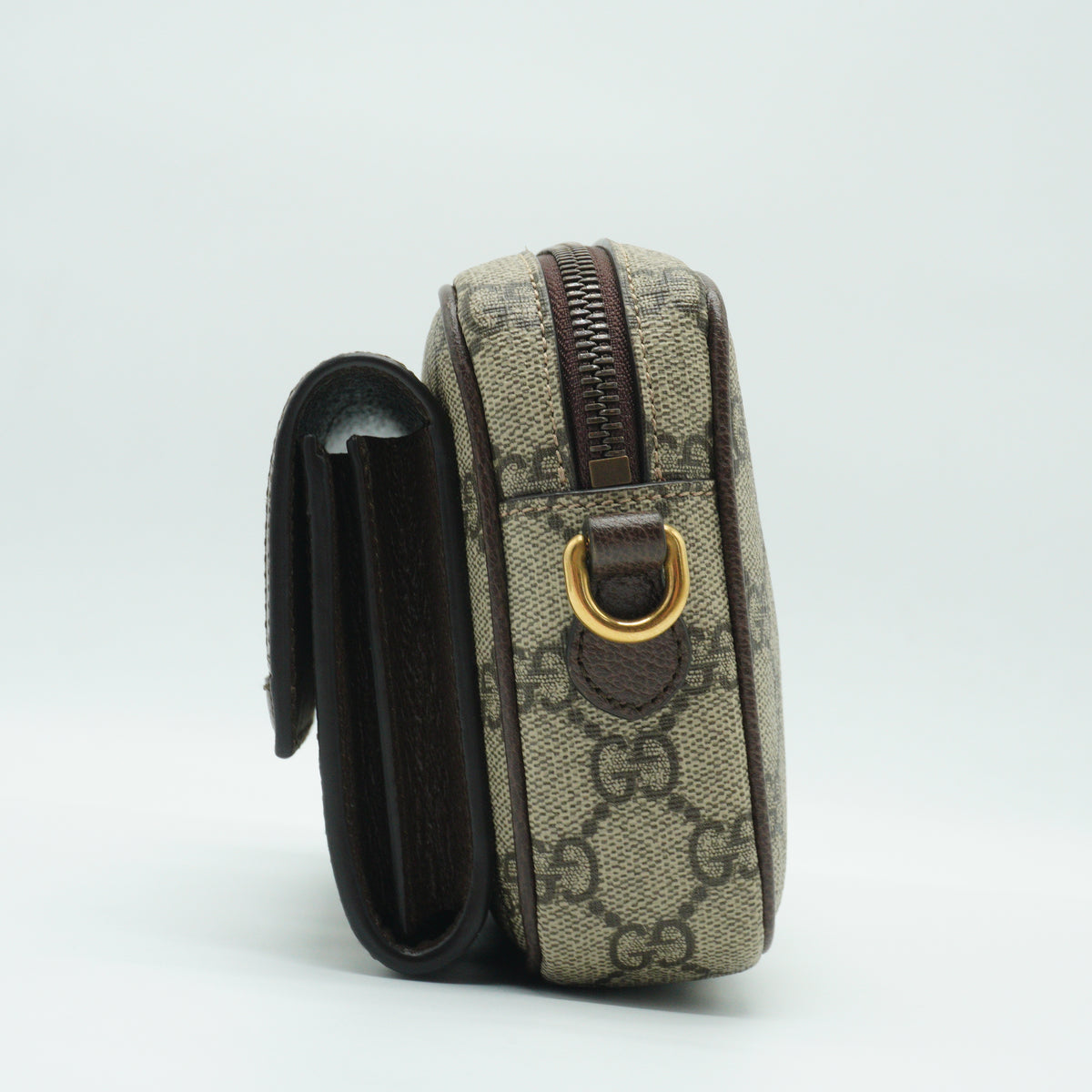 Gucci	Ophidia Mini Bag GHW