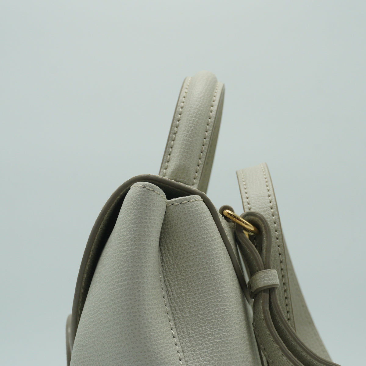 Polene Ophidia Mini Chain Shoulder Bag GHW