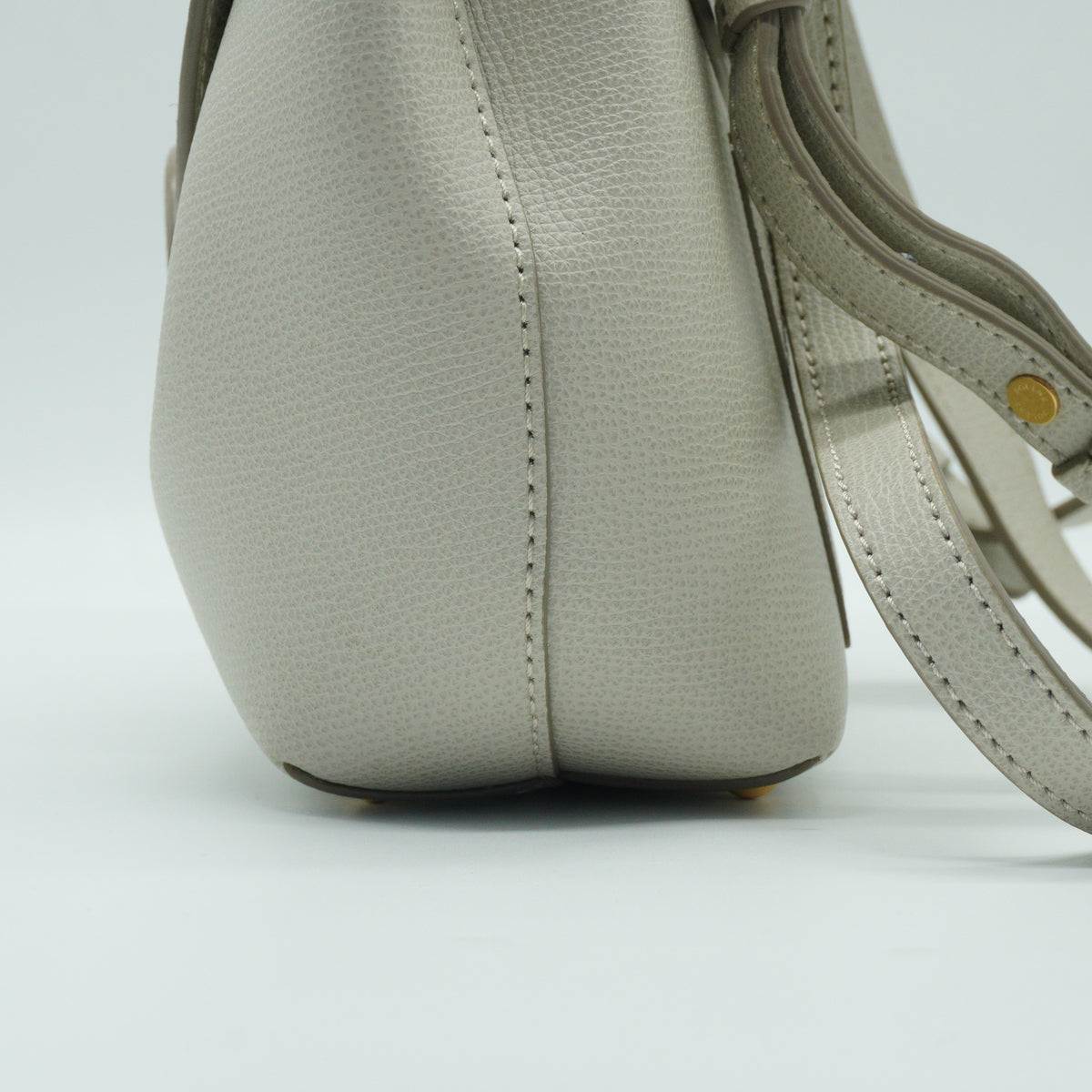 Polene Ophidia Mini Chain Shoulder Bag GHW