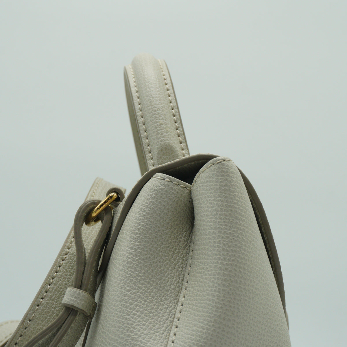 Polene Ophidia Mini Chain Shoulder Bag GHW