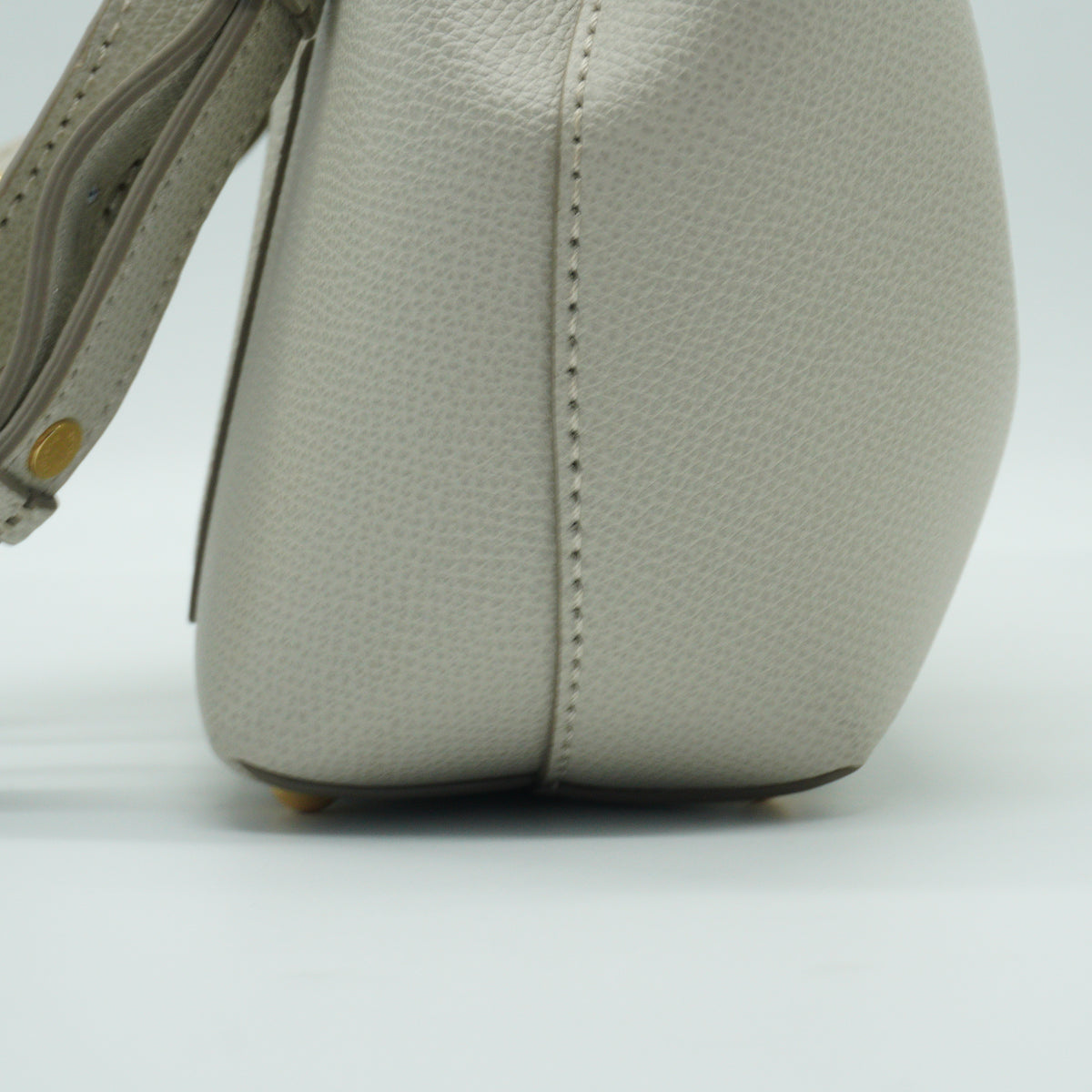 Polene Ophidia Mini Chain Shoulder Bag GHW